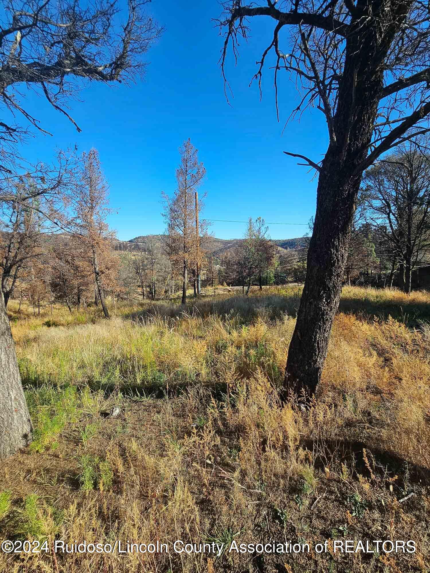 108 Plumas Place, Ruidoso, New Mexico image 4