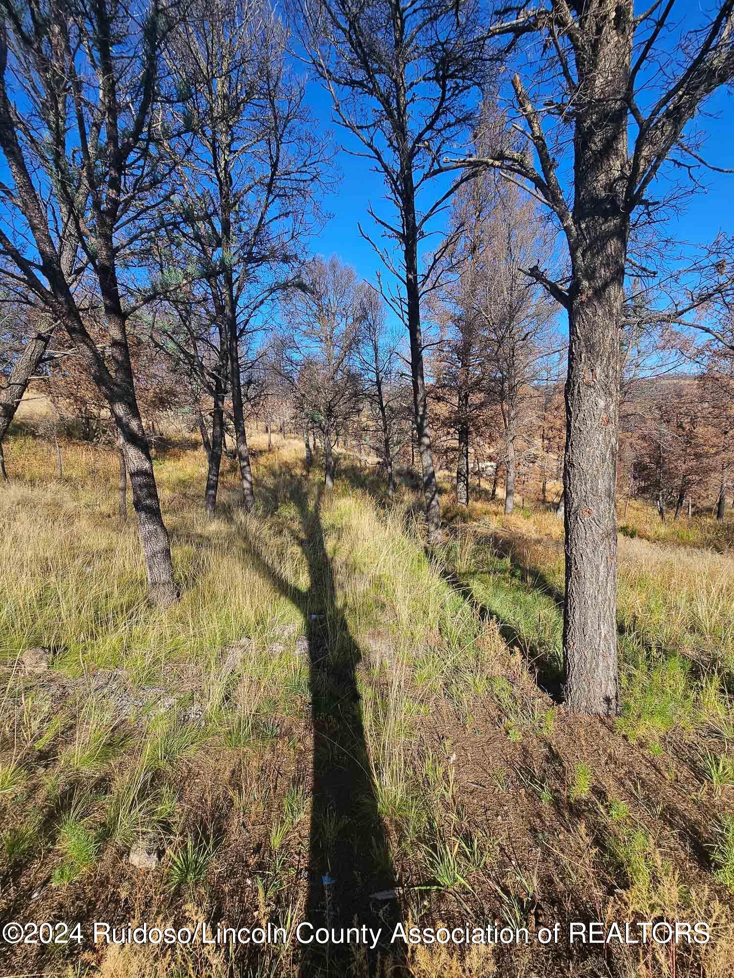 108 Plumas Place, Ruidoso, New Mexico image 3