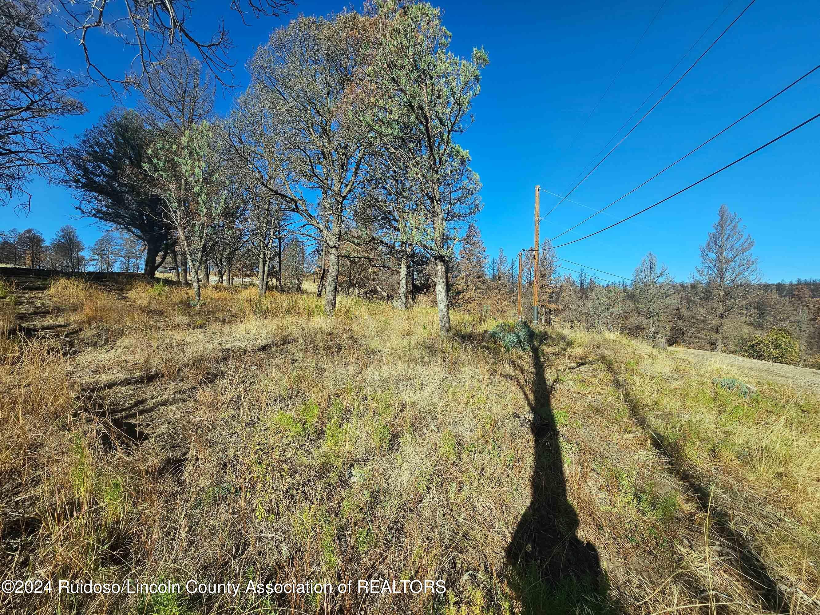 108 Plumas Place, Ruidoso, New Mexico image 7