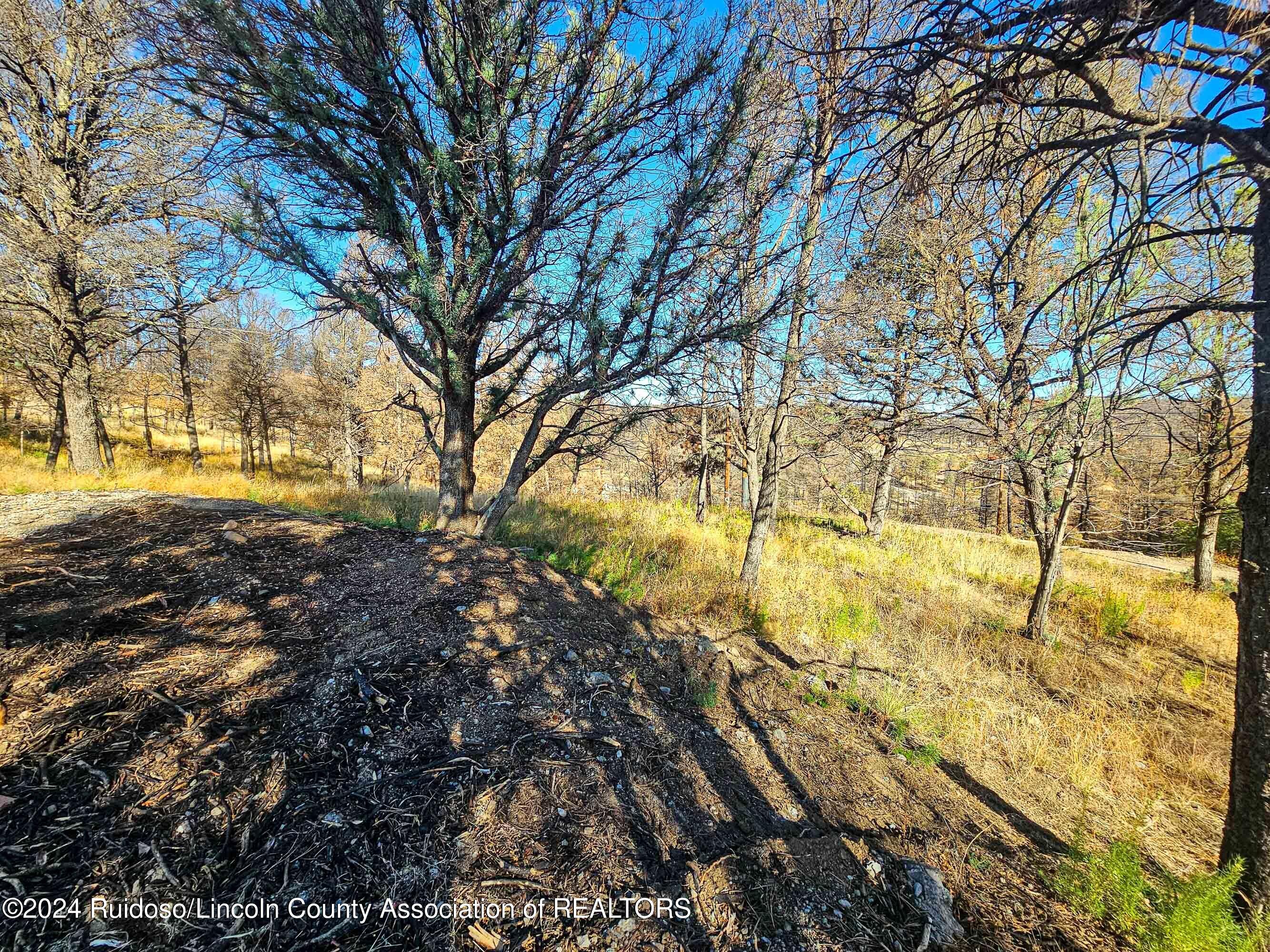 108 Plumas Place, Ruidoso, New Mexico image 2