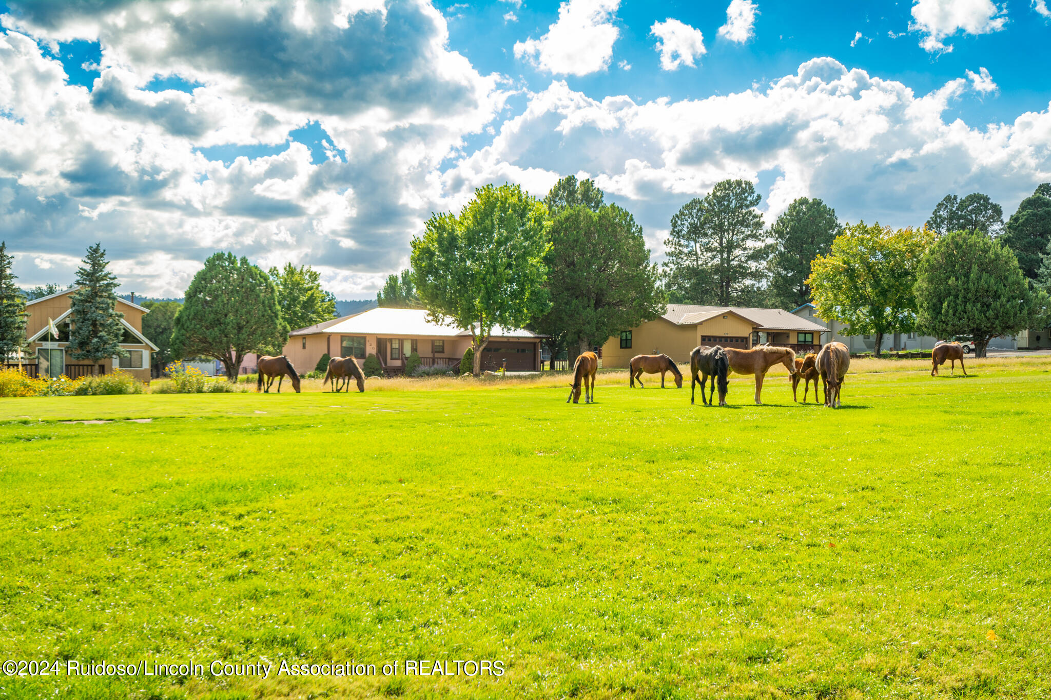 312 Barcus Road, Ruidoso, New Mexico image 38