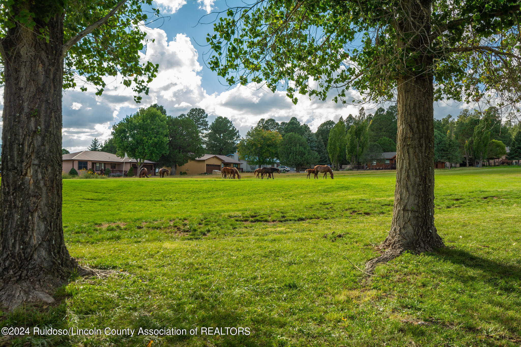 312 Barcus Road, Ruidoso, New Mexico image 35