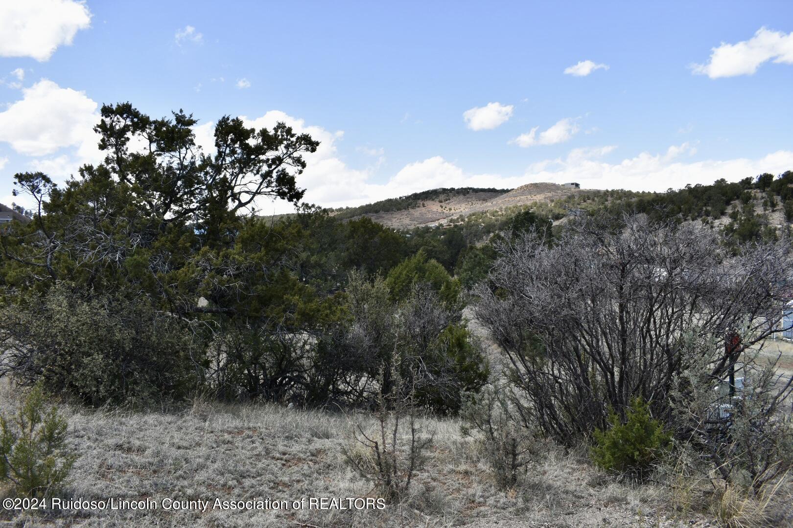 Lot 3 Gunsmoke Ct., Alto, New Mexico image 2