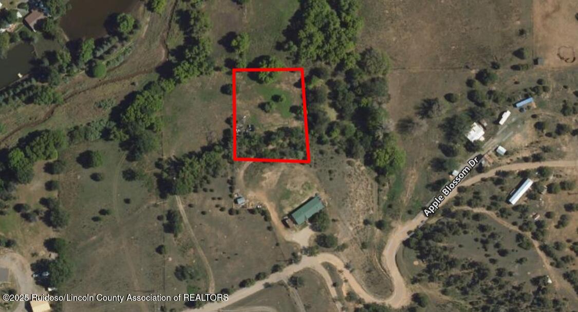 Tract 2 Biscuit Hill Road, Ruidoso Downs, New Mexico image 2