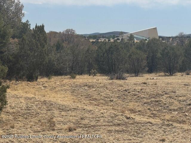 Lot 475 Santiago Circle, Alto, New Mexico image 2