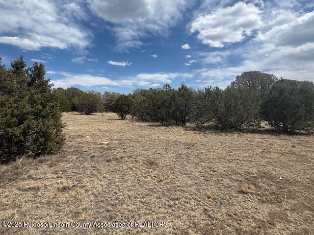 Lot 475 Santiago Circle, Alto, New Mexico image 3