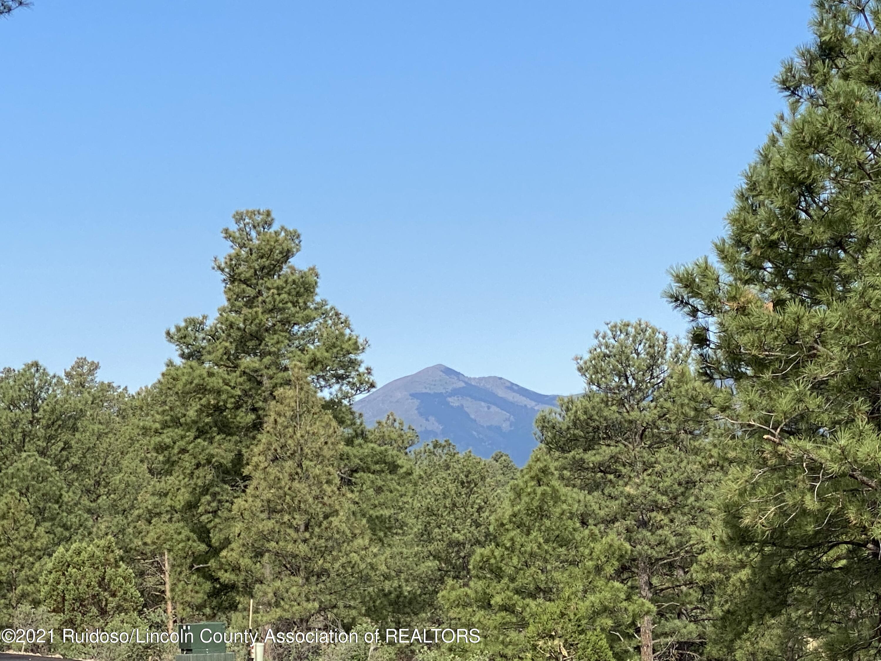 L23D Walter Hagan Drive, Alto, New Mexico image 2