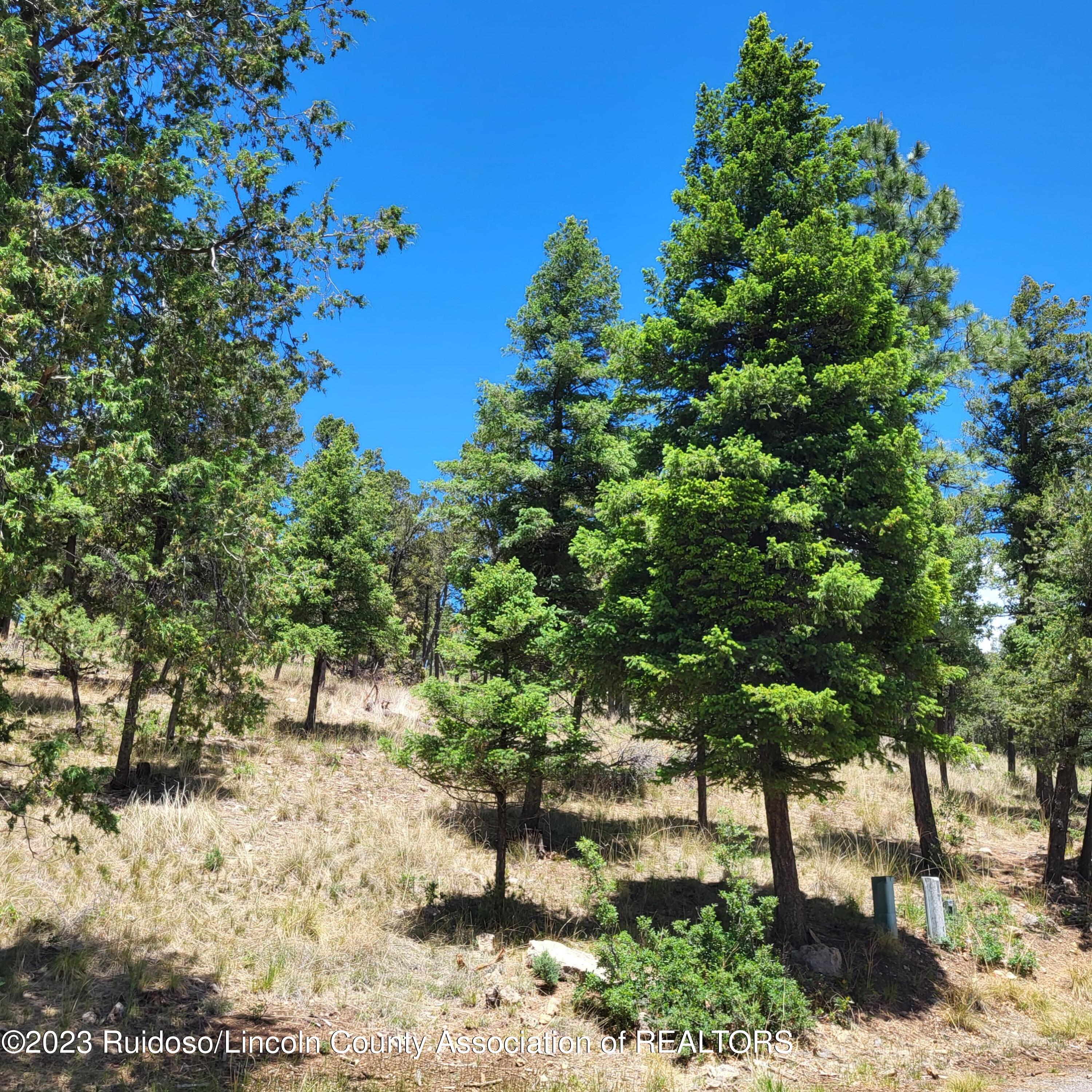 303 Crown Drive, Ruidoso, New Mexico image 1