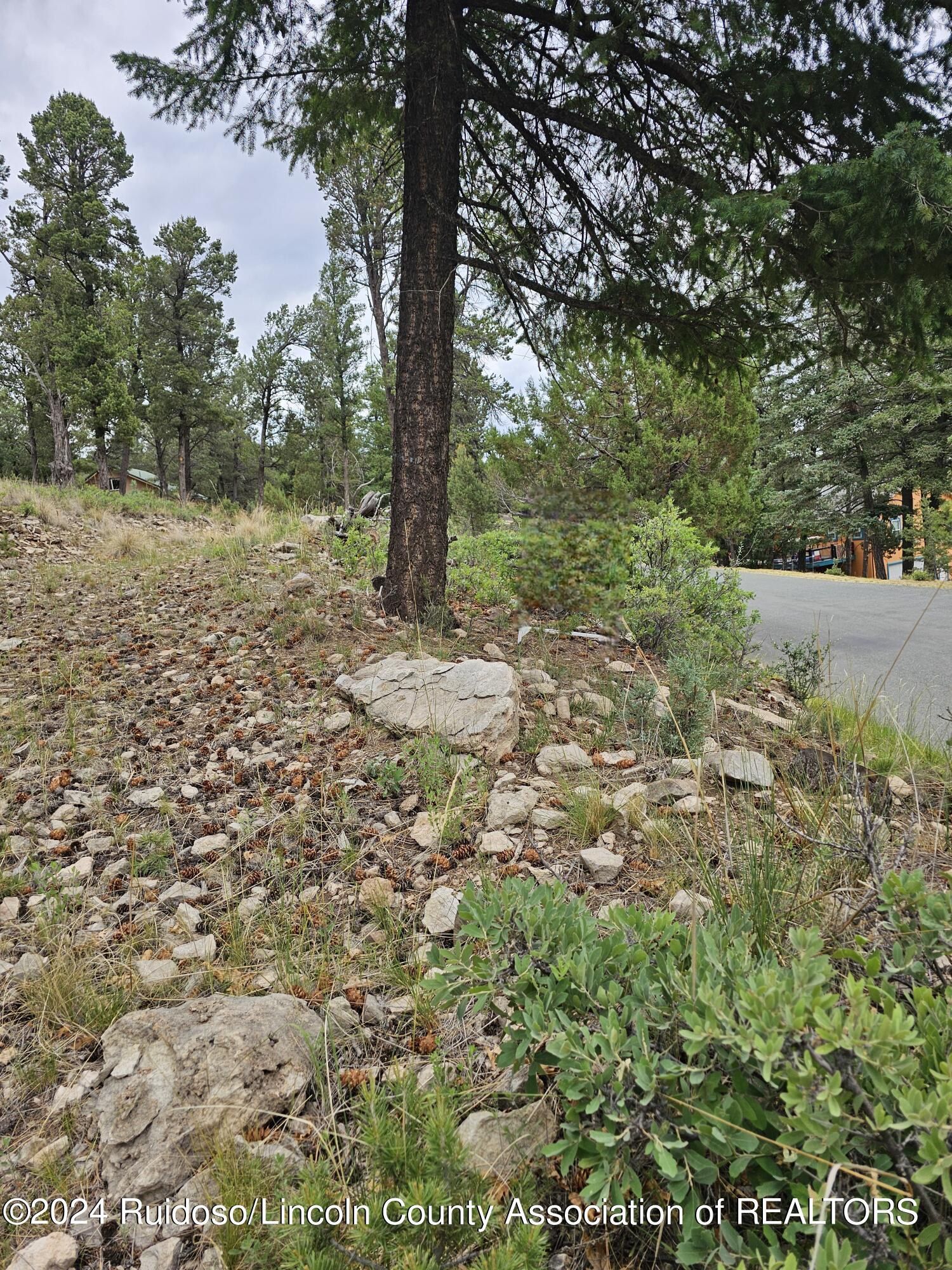 303 Crown Drive, Ruidoso, New Mexico image 4