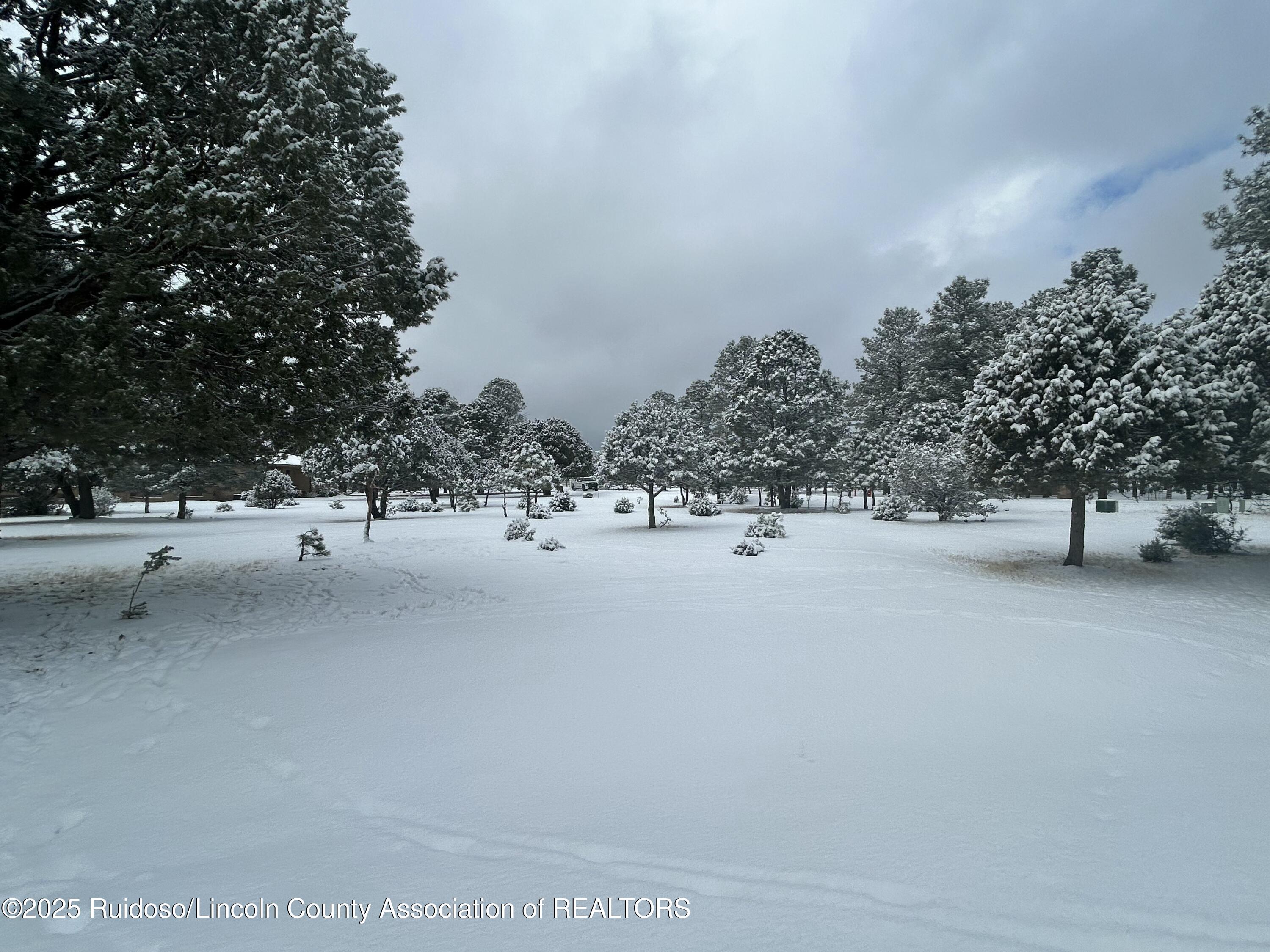 Lot 14 Larkspur Loop, Alto, New Mexico image 6