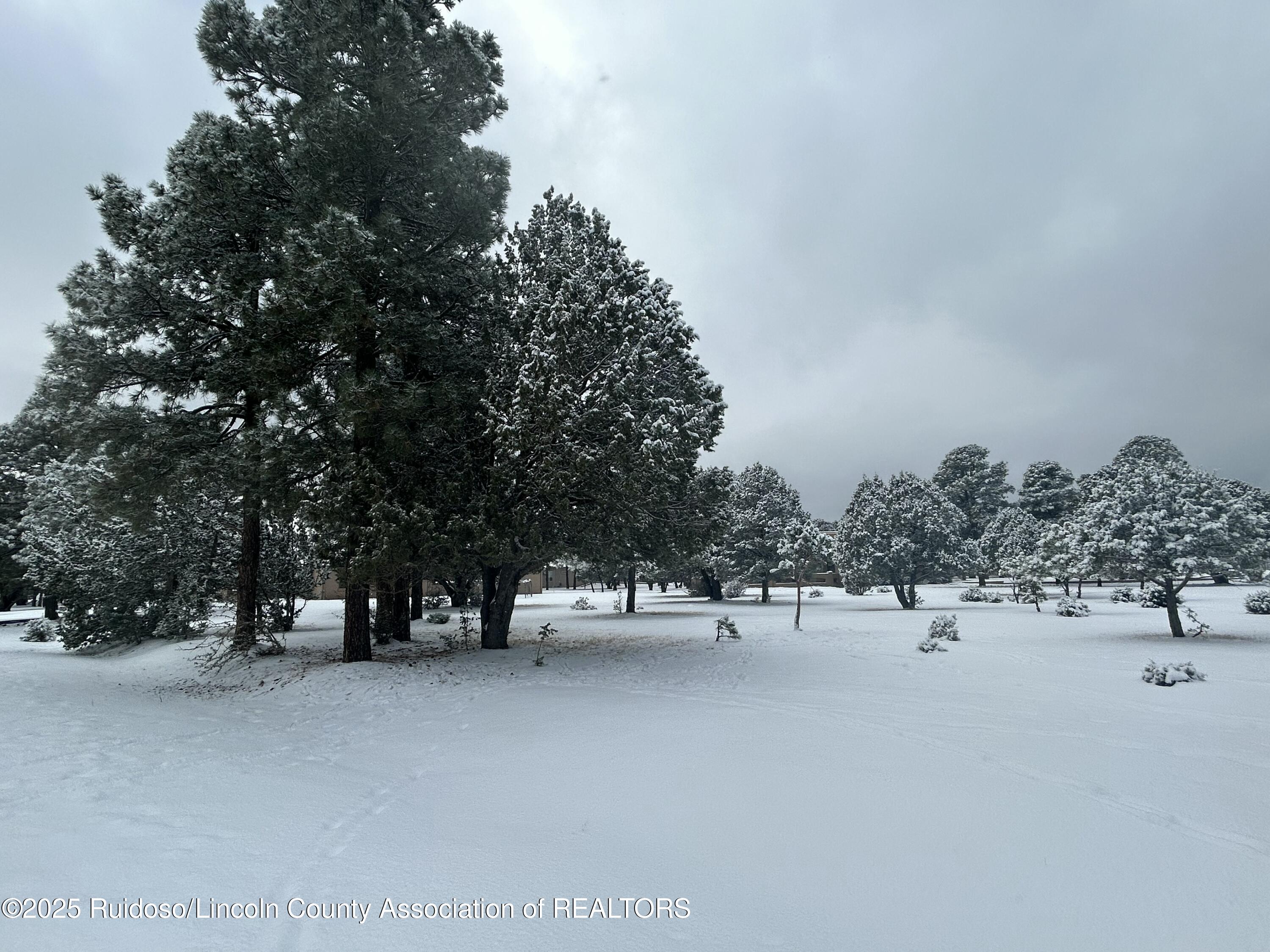 Lot 14 Larkspur Loop, Alto, New Mexico image 3