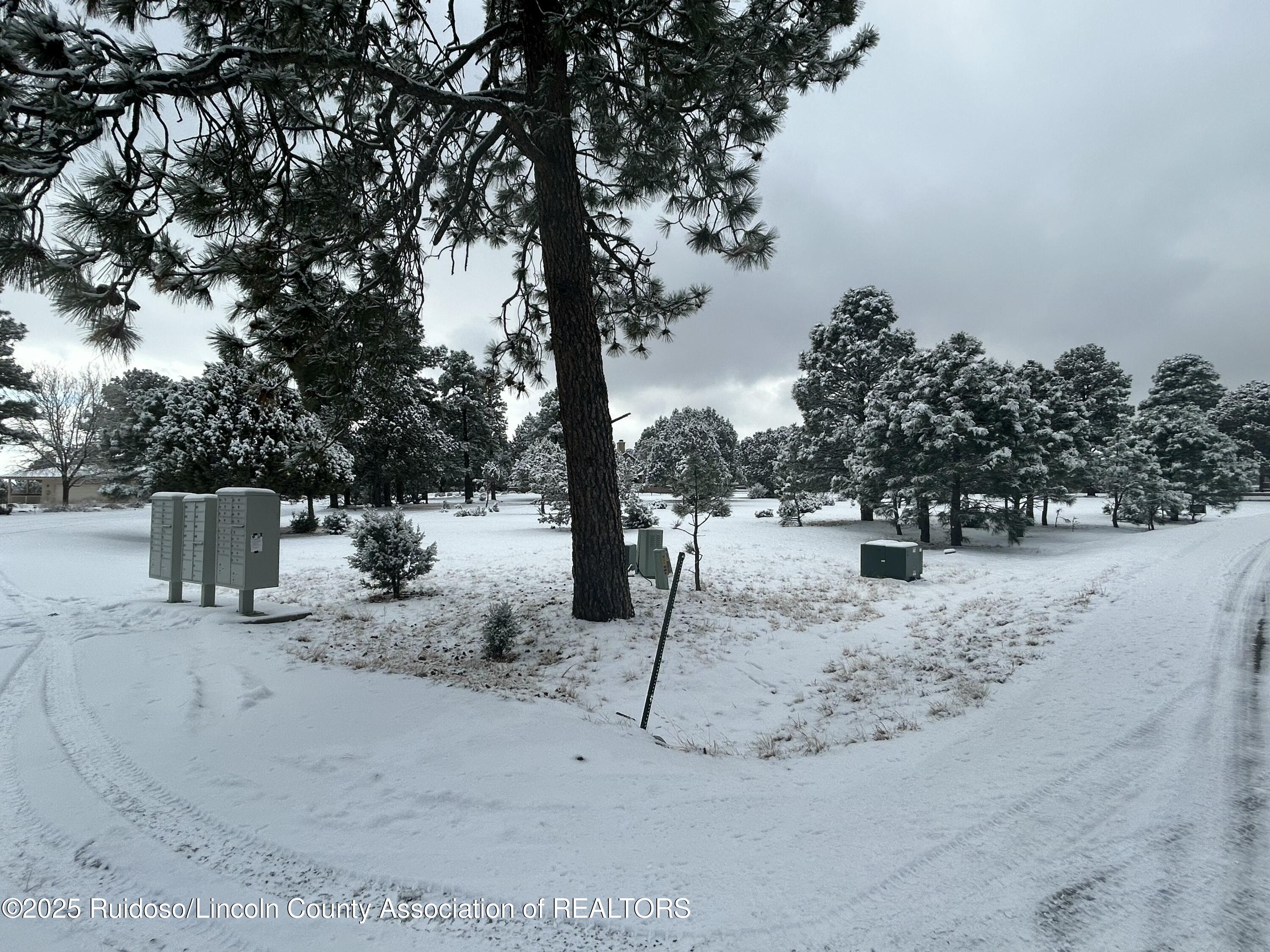 Lot 14 Larkspur Loop, Alto, New Mexico image 8