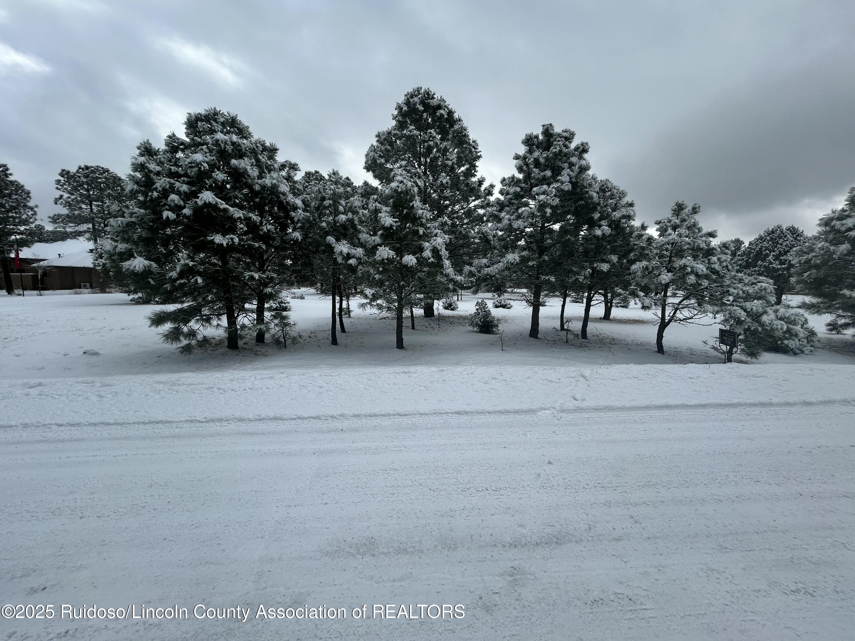 Lot 14 Larkspur Loop, Alto, New Mexico image 13