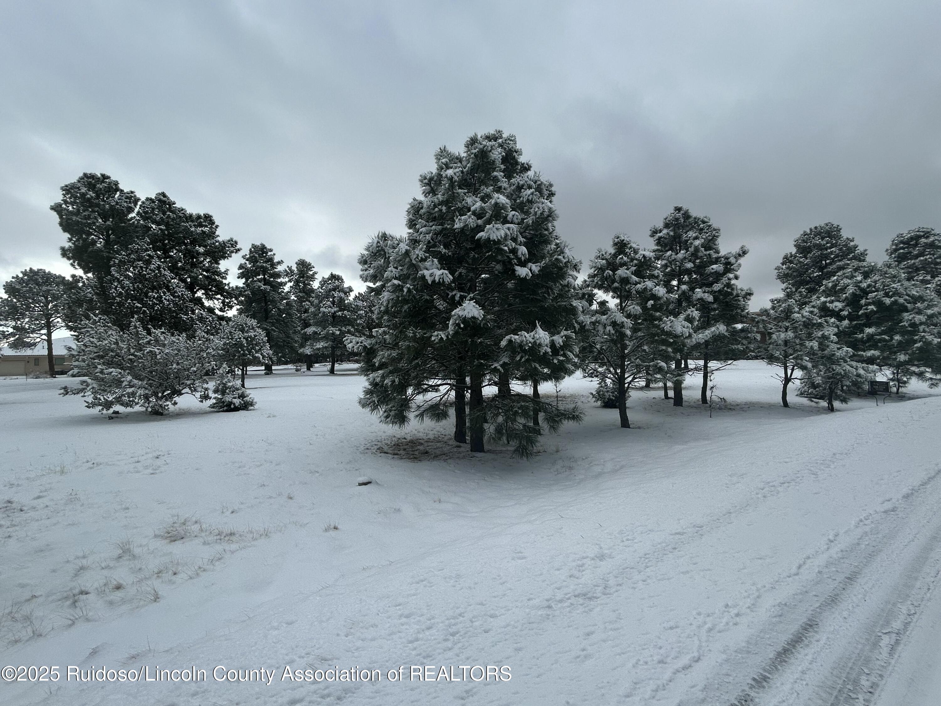 Lot 14 Larkspur Loop, Alto, New Mexico image 10