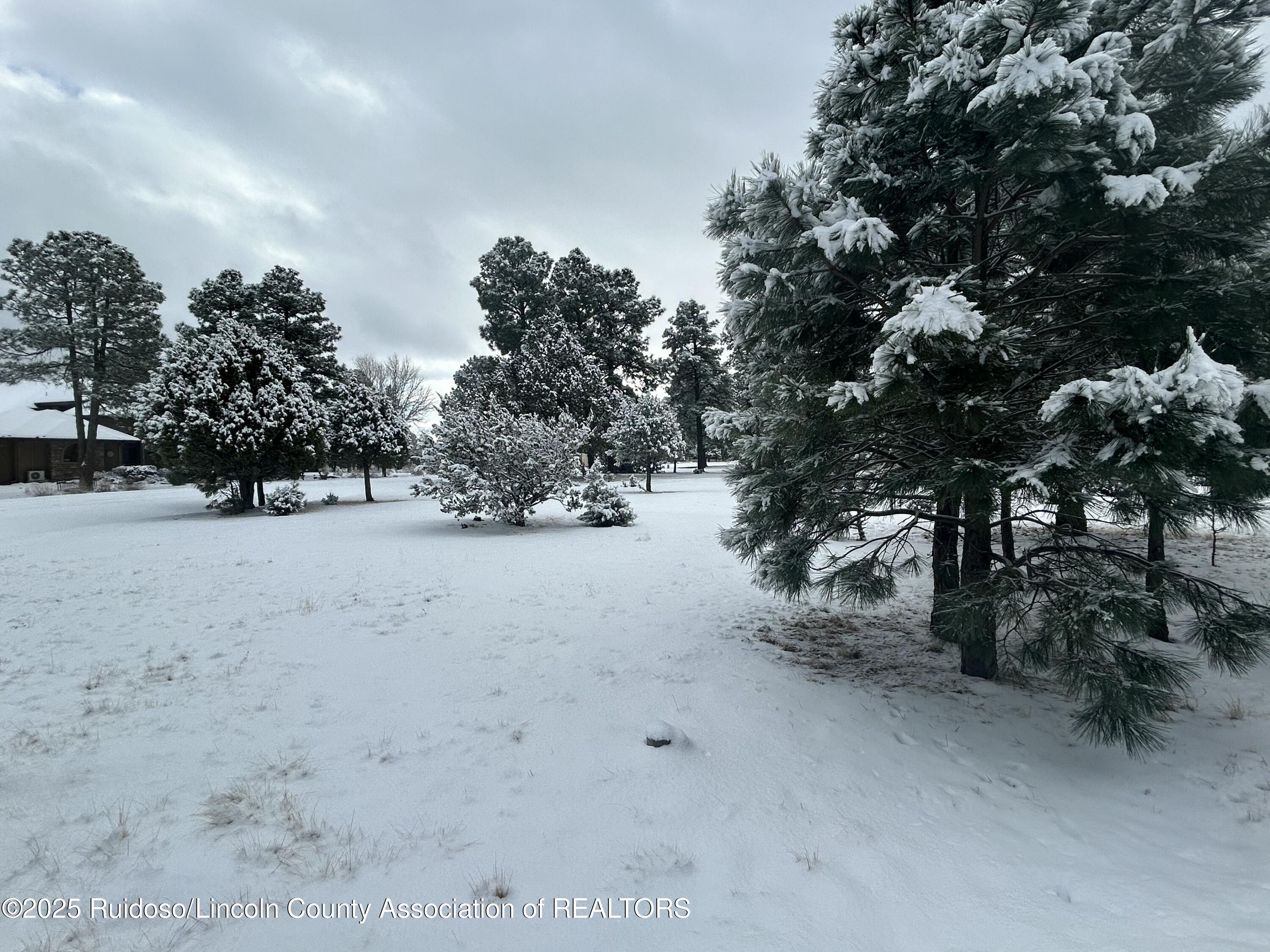 Lot 14 Larkspur Loop, Alto, New Mexico image 11