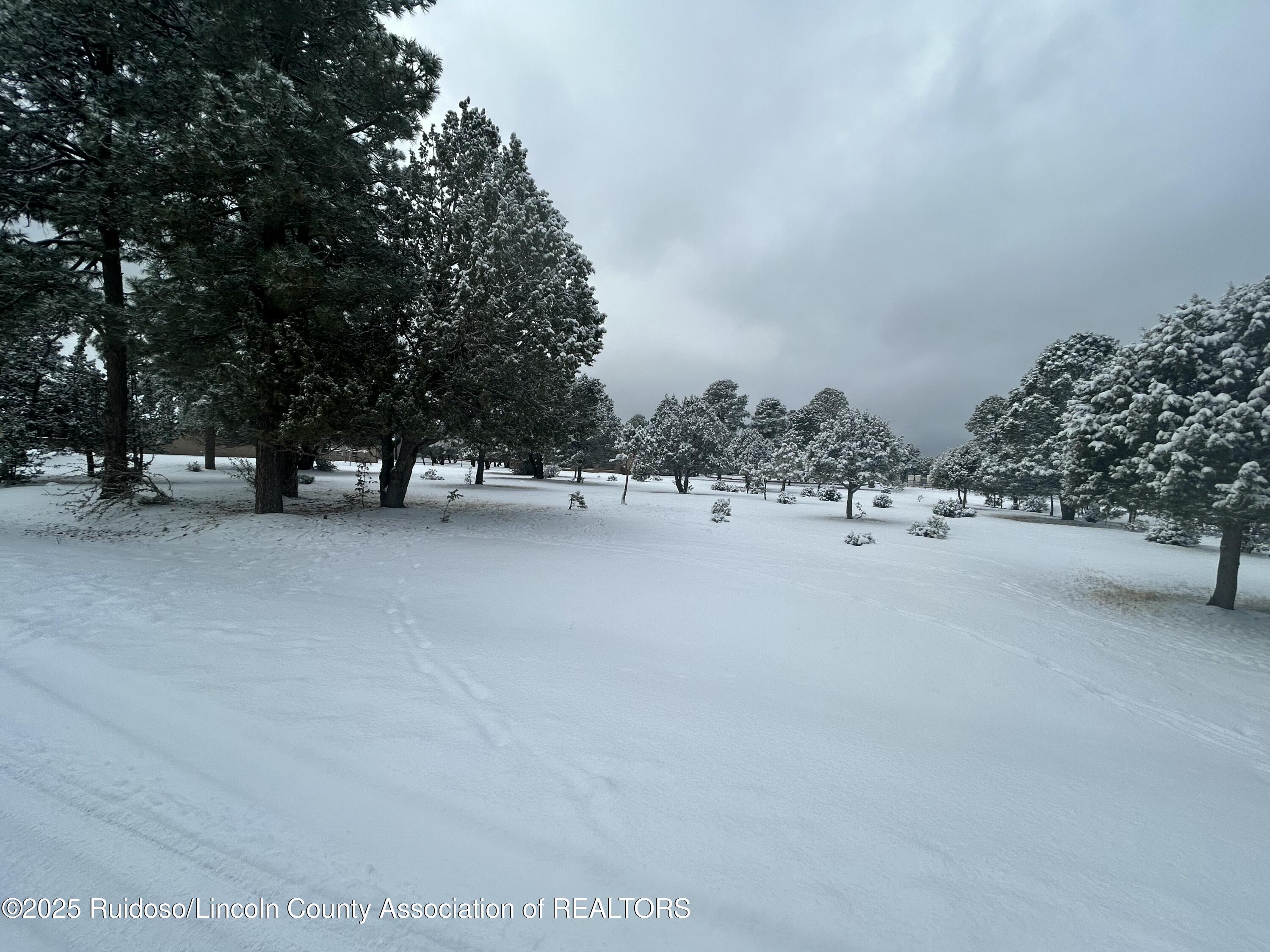 Lot 14 Larkspur Loop, Alto, New Mexico image 7