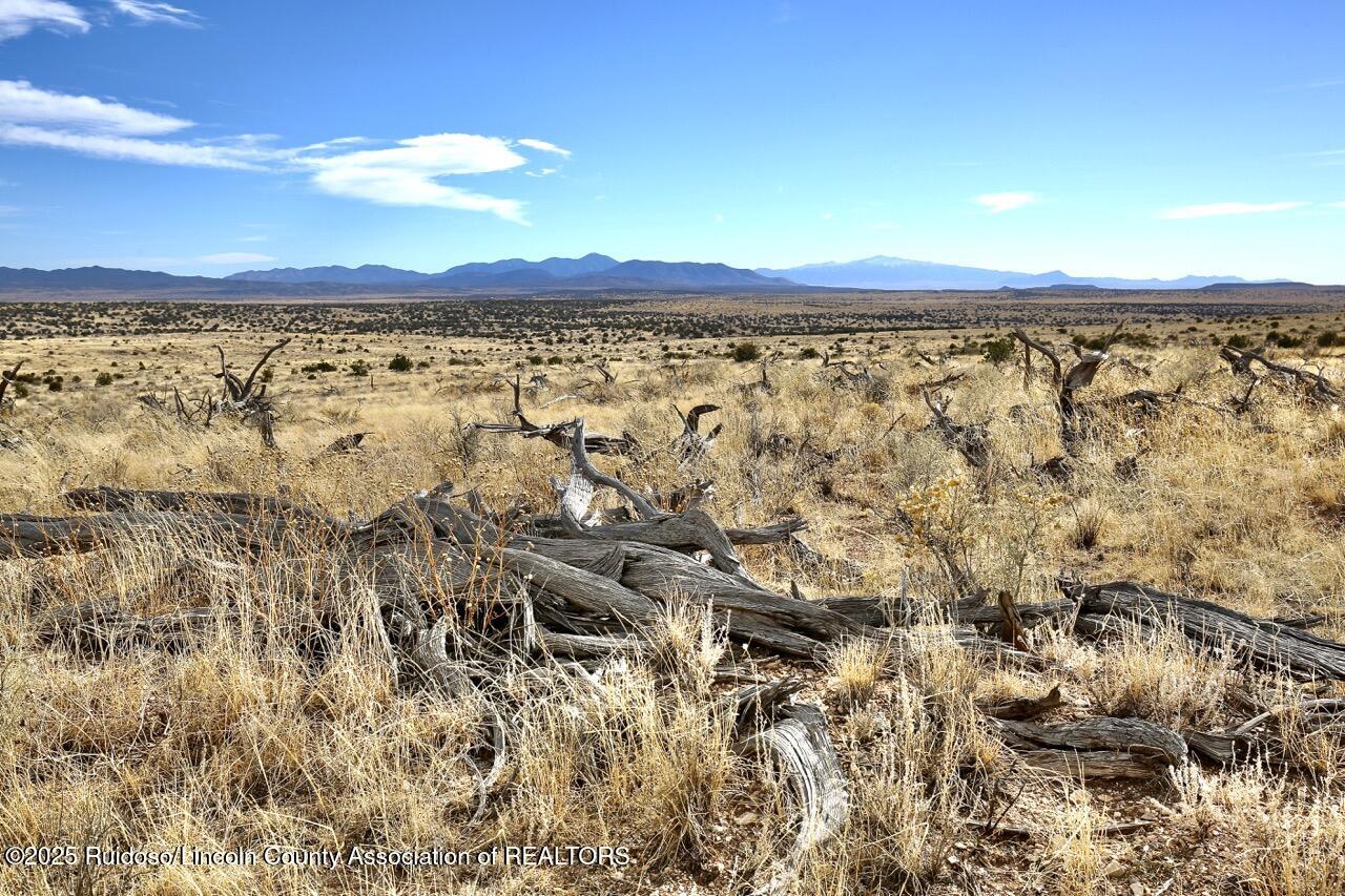 198 Lantern Lane, Ancho, New Mexico image 10