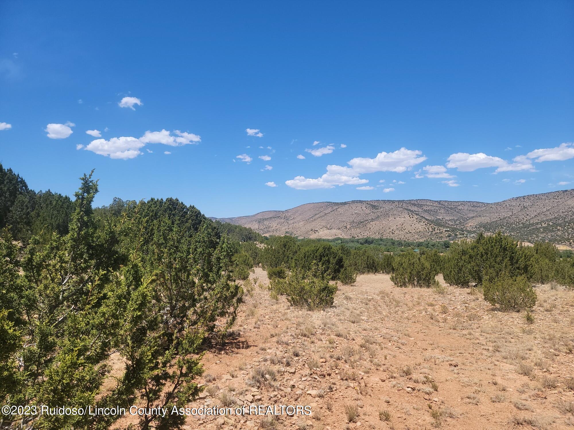 144 Manfor Rd, San Patricio, New Mexico image 10