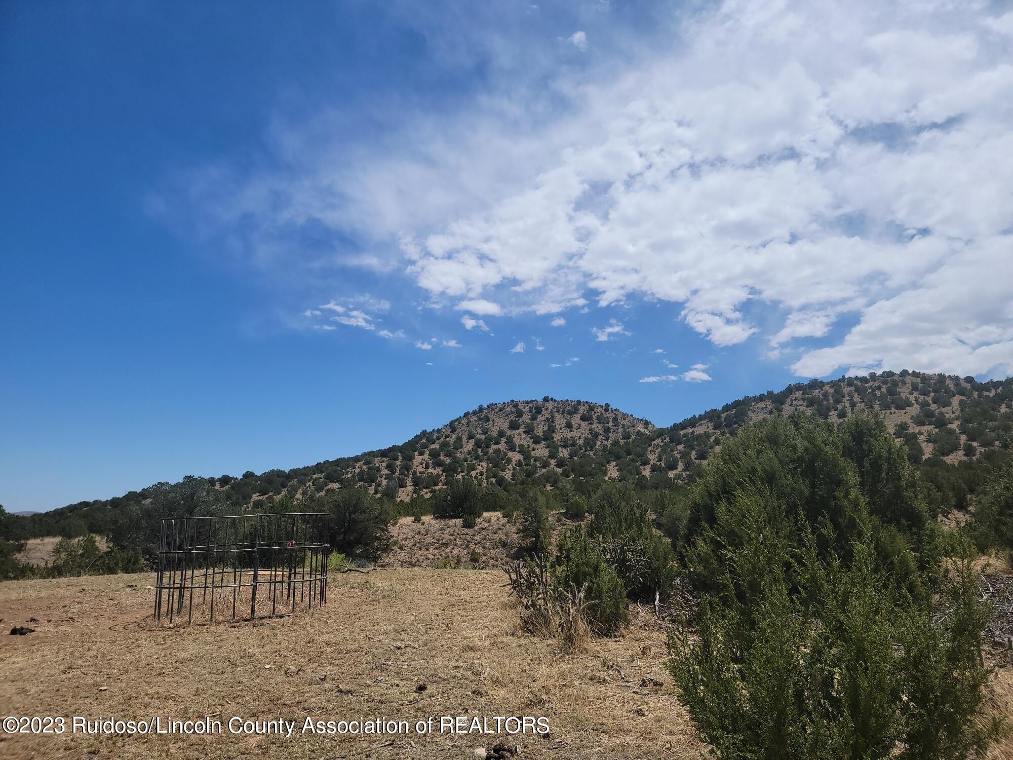 144 Manfor Rd, San Patricio, New Mexico image 12