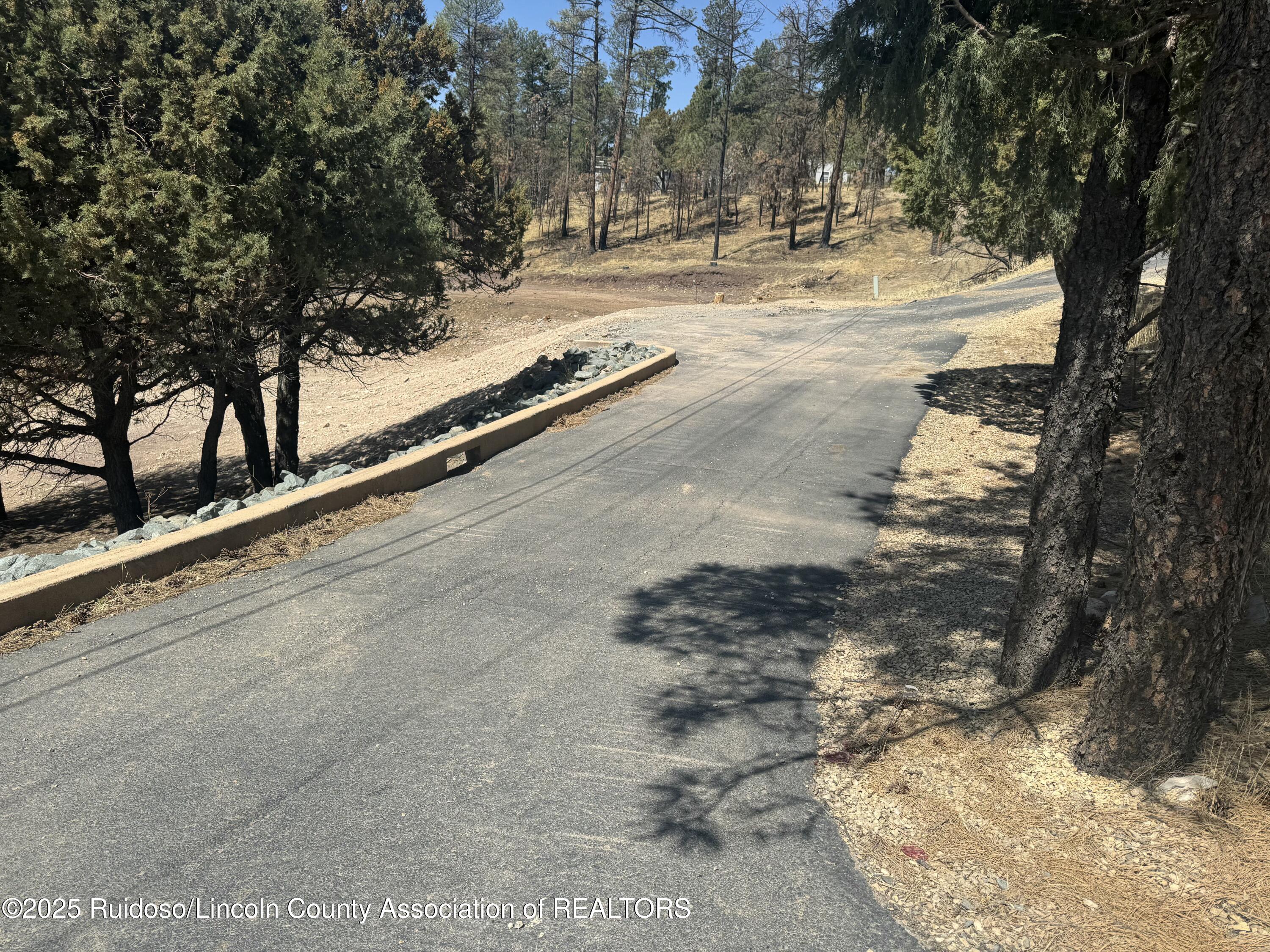 112 Pinecone Lane, Alto, New Mexico image 2