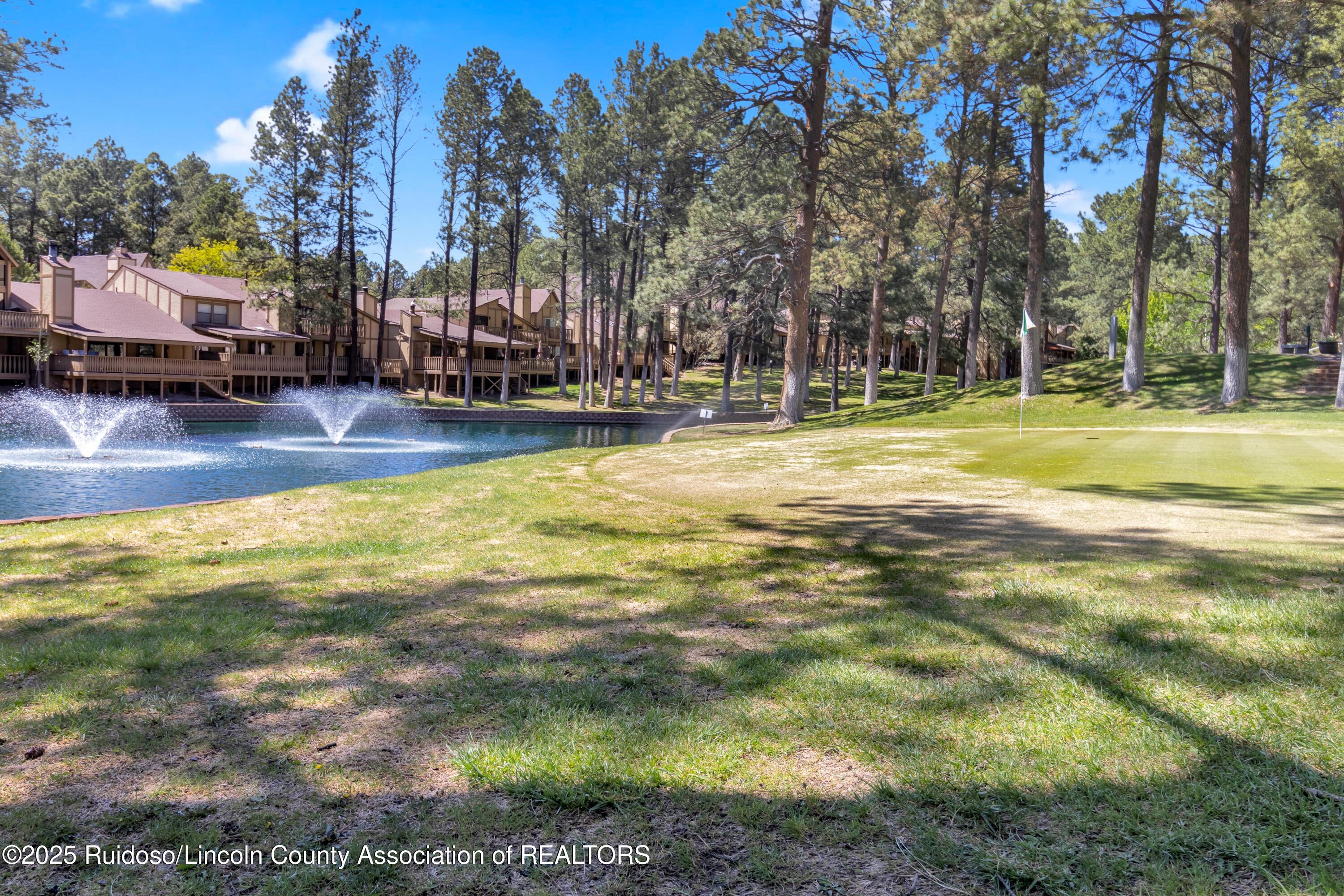 214 Metz Drive #243, Ruidoso, New Mexico image 33