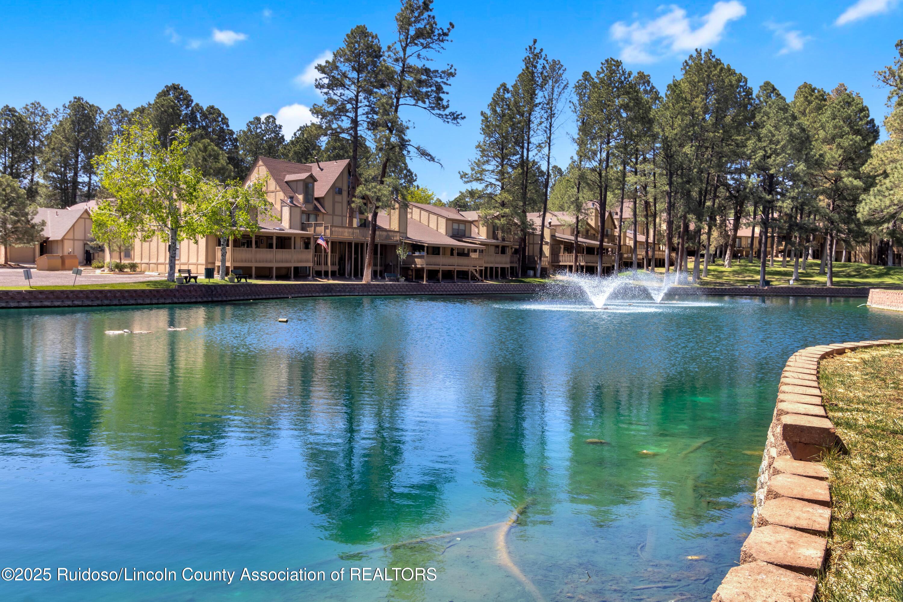 214 Metz Drive #243, Ruidoso, New Mexico image 30