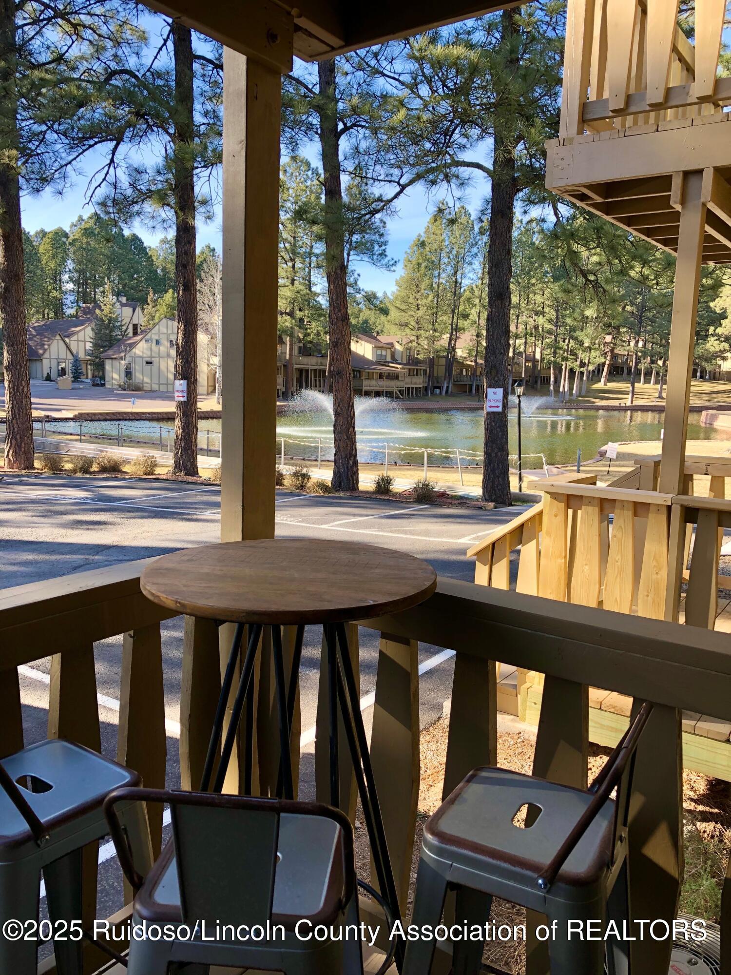 214 Metz Drive #243, Ruidoso, New Mexico image 15