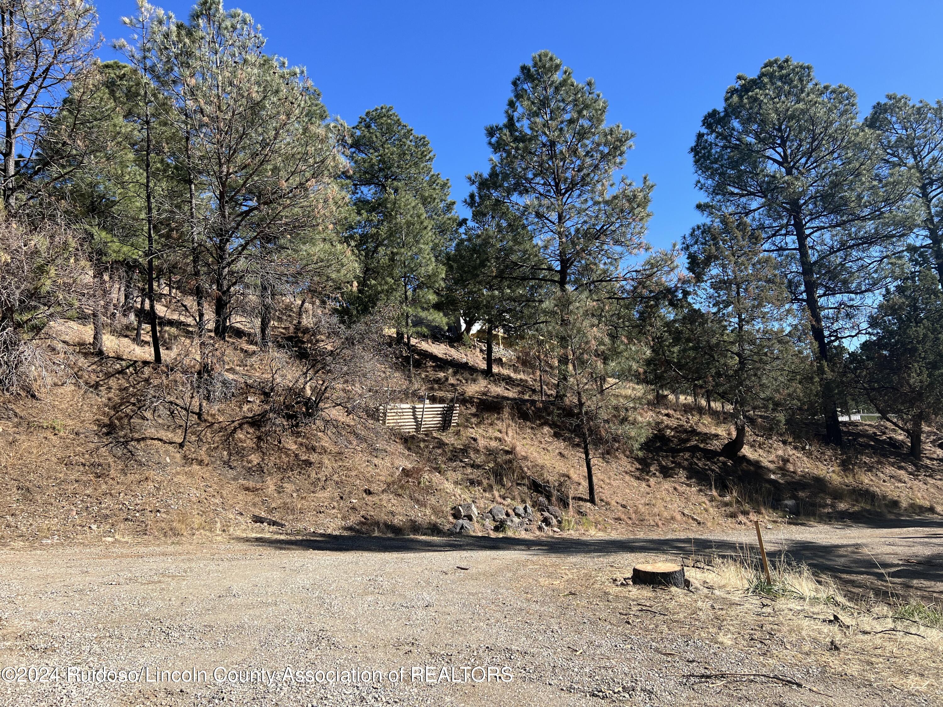 225 Venado St, Ruidoso, New Mexico image 6