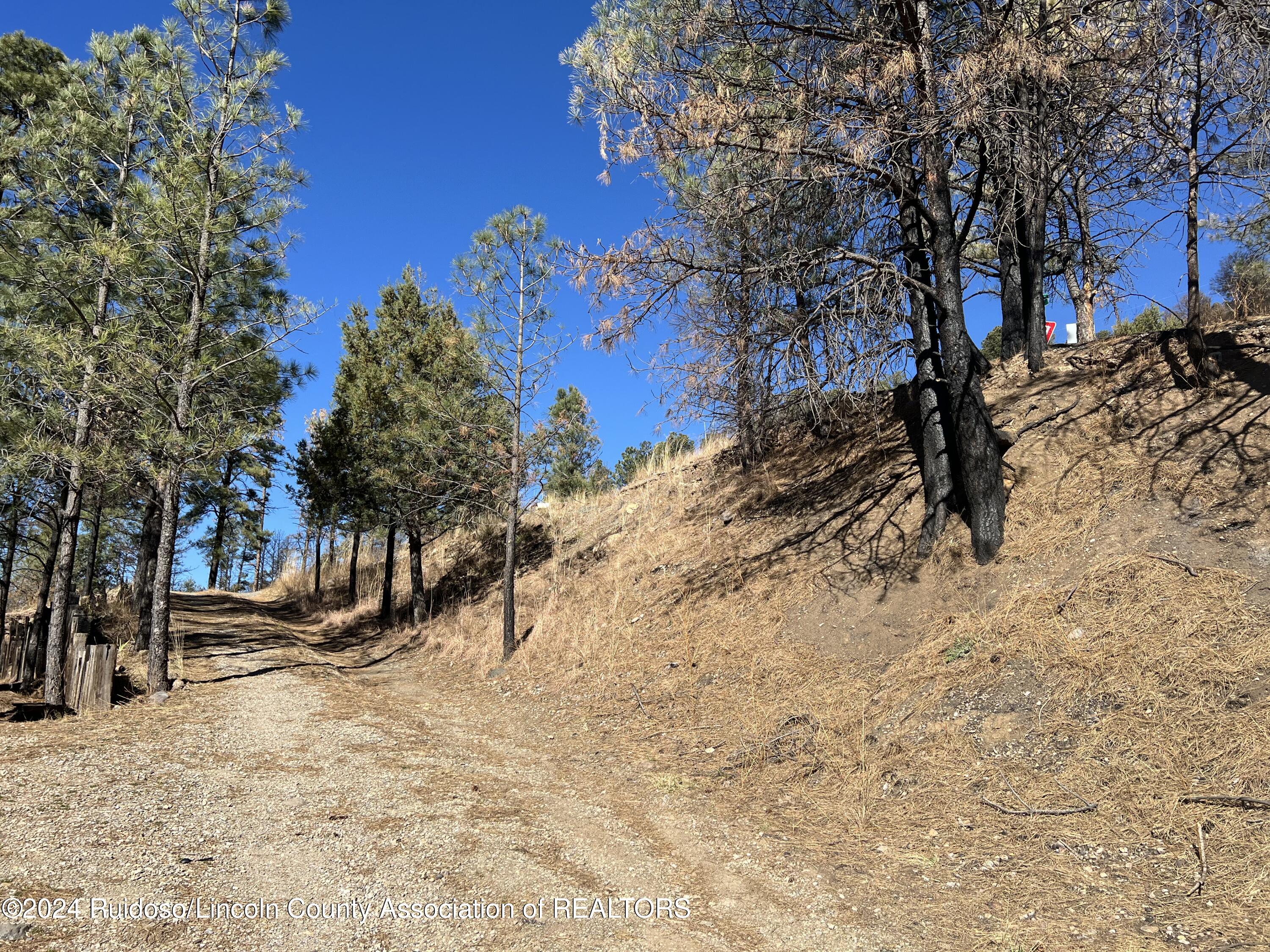 225 Venado St, Ruidoso, New Mexico image 2