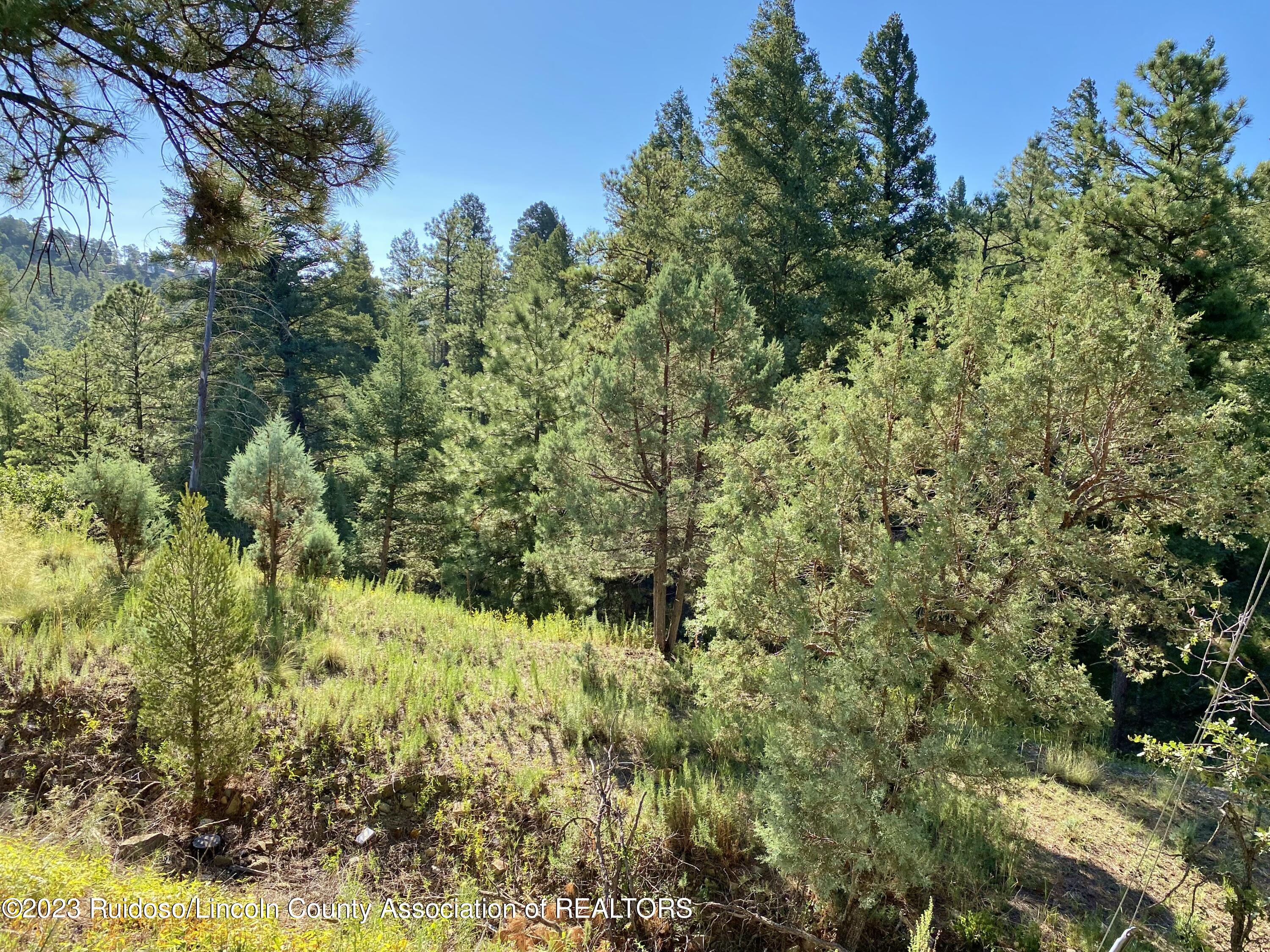 108-110 Beech Road, Ruidoso, New Mexico image 17