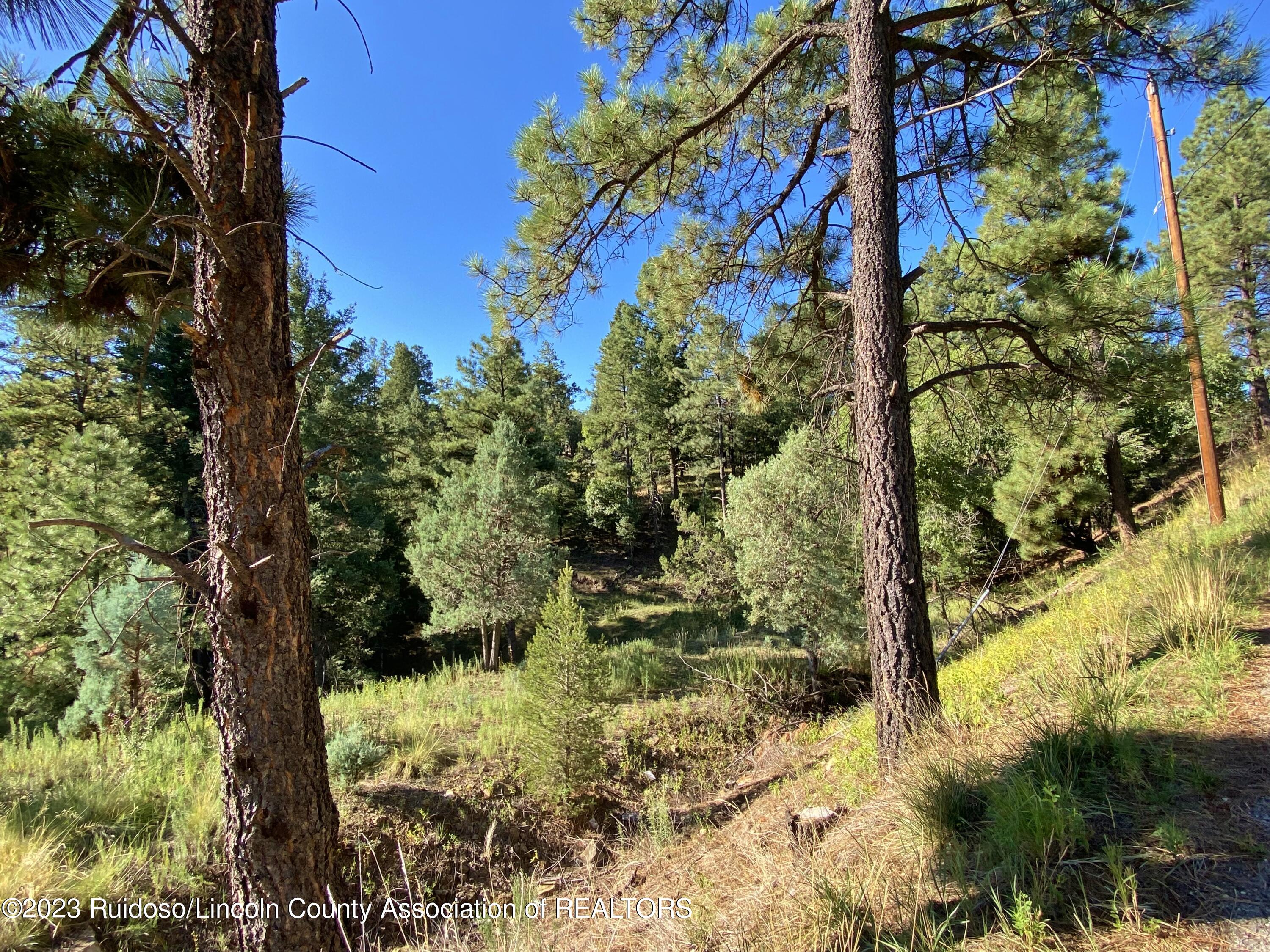 108-110 Beech Road, Ruidoso, New Mexico image 8