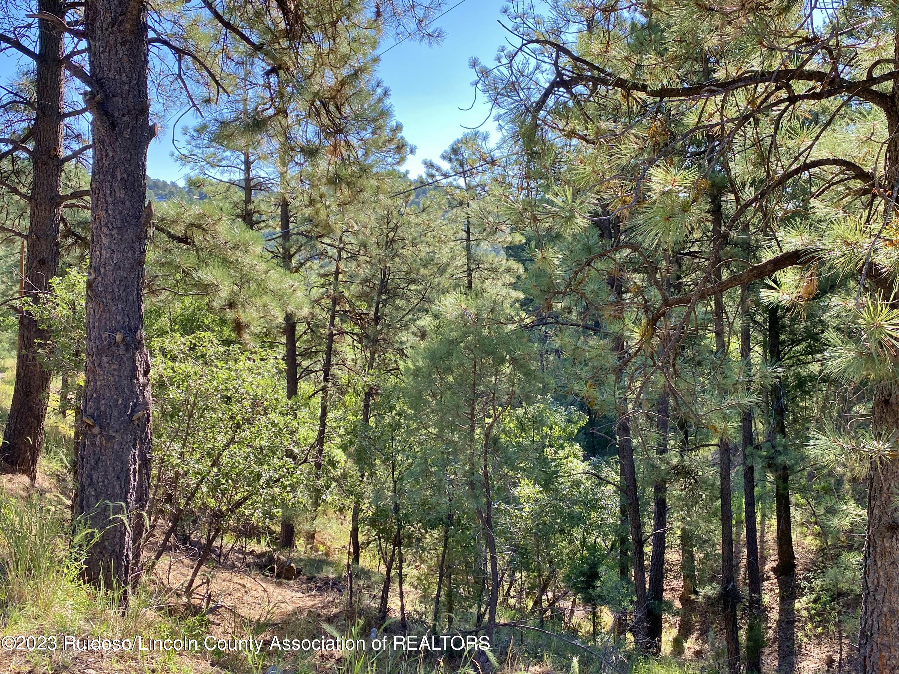 108-110 Beech Road, Ruidoso, New Mexico image 14