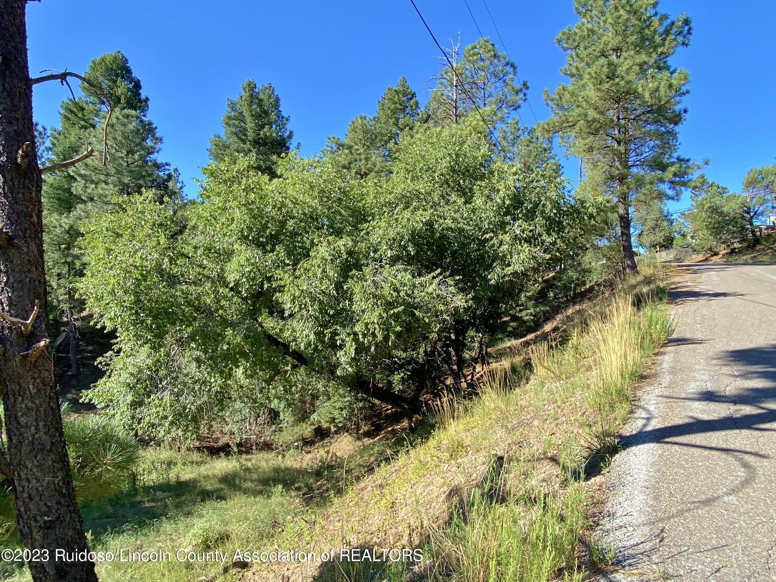 108-110 Beech Road, Ruidoso, New Mexico image 9