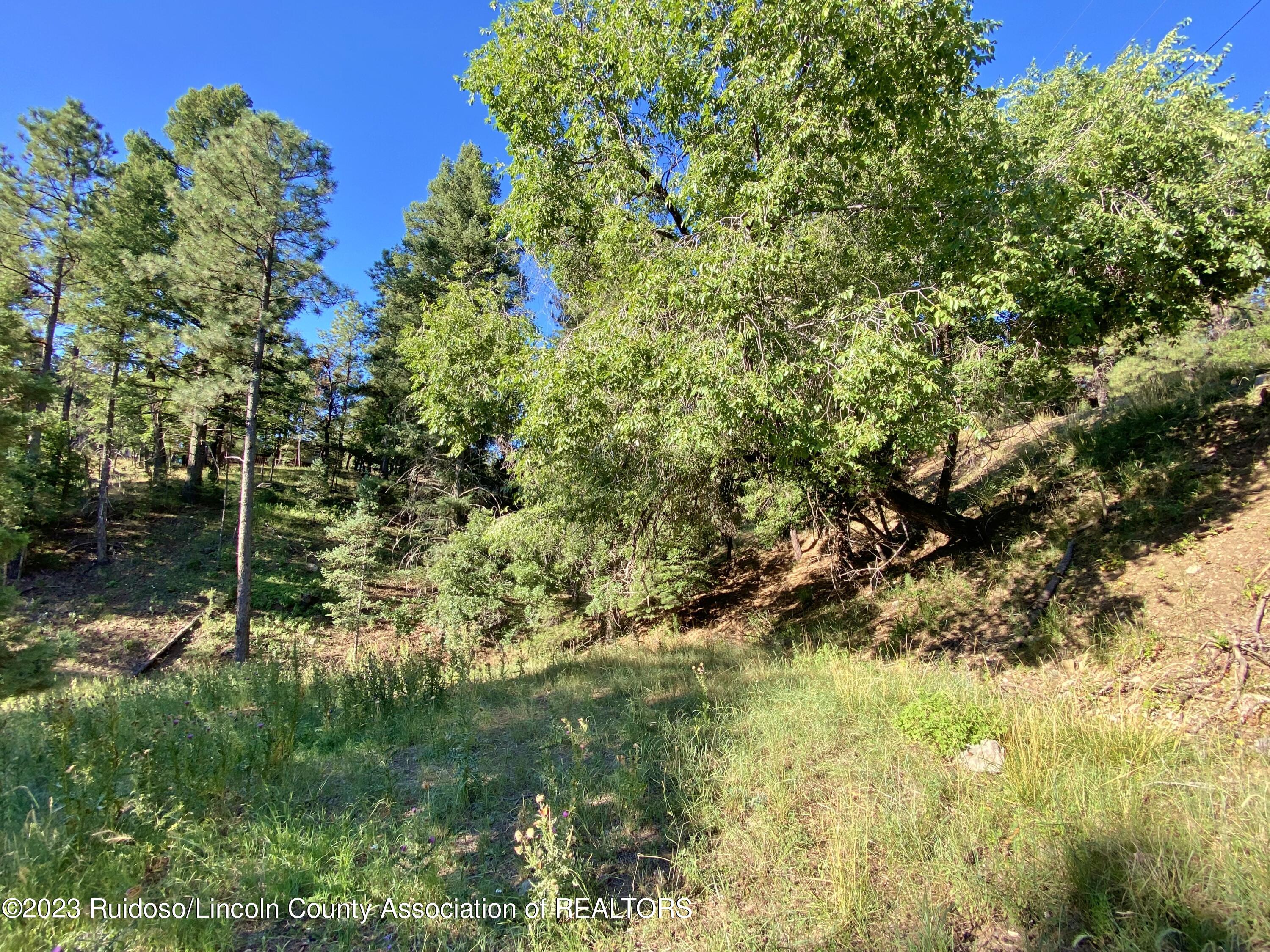 108-110 Beech Road, Ruidoso, New Mexico image 4