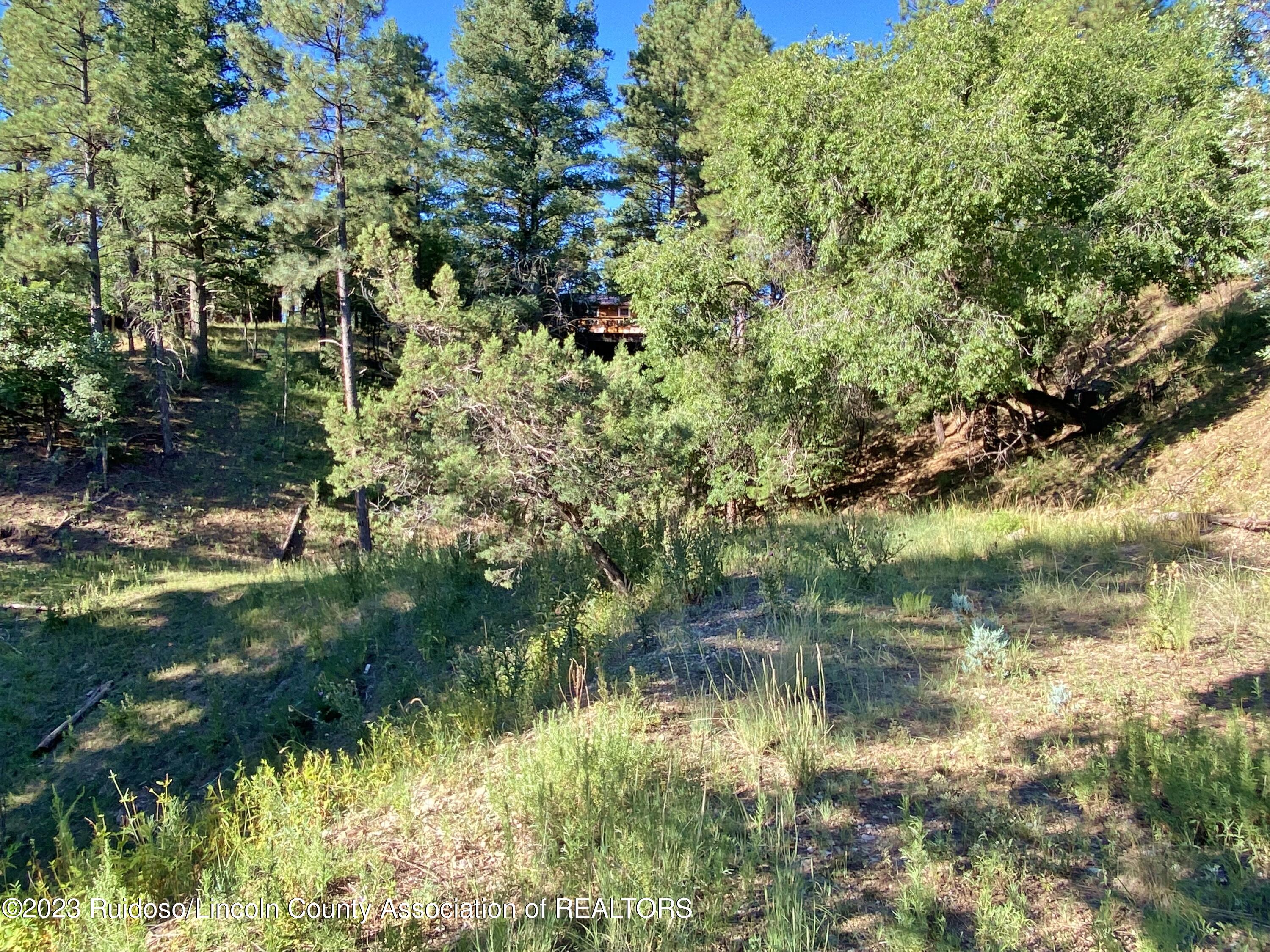 108-110 Beech Road, Ruidoso, New Mexico image 2