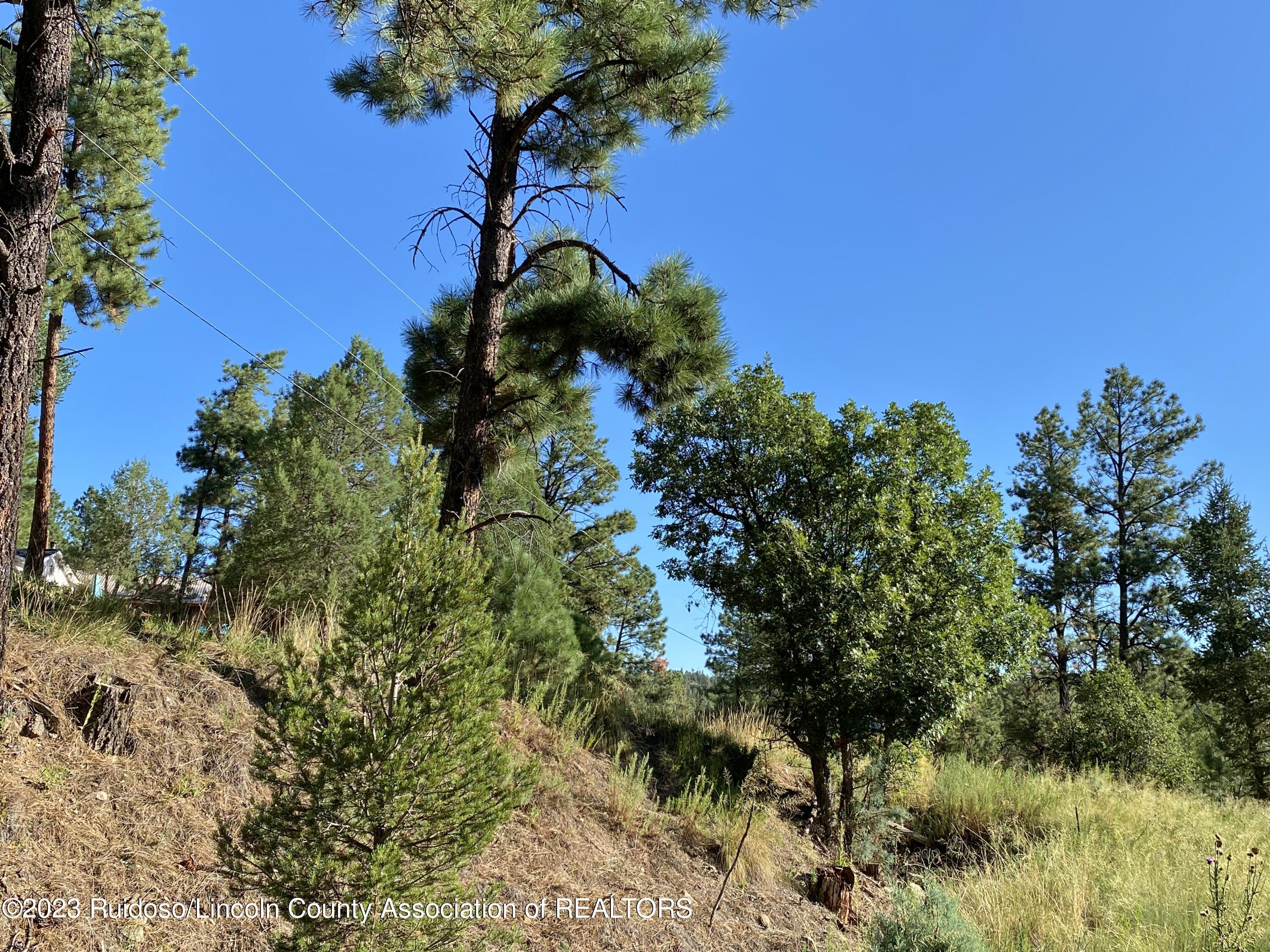 108-110 Beech Road, Ruidoso, New Mexico image 6