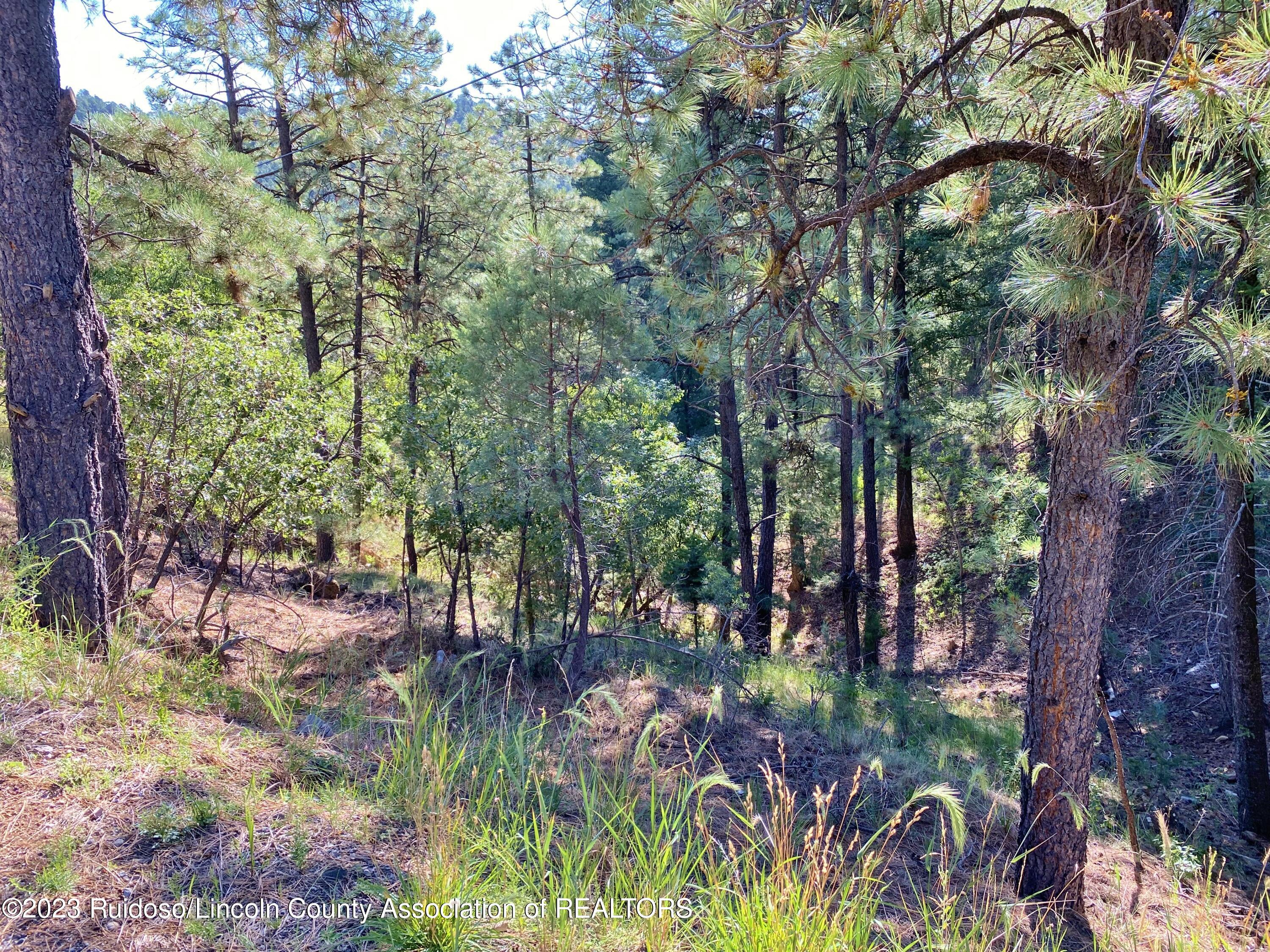 108-110 Beech Road, Ruidoso, New Mexico image 13