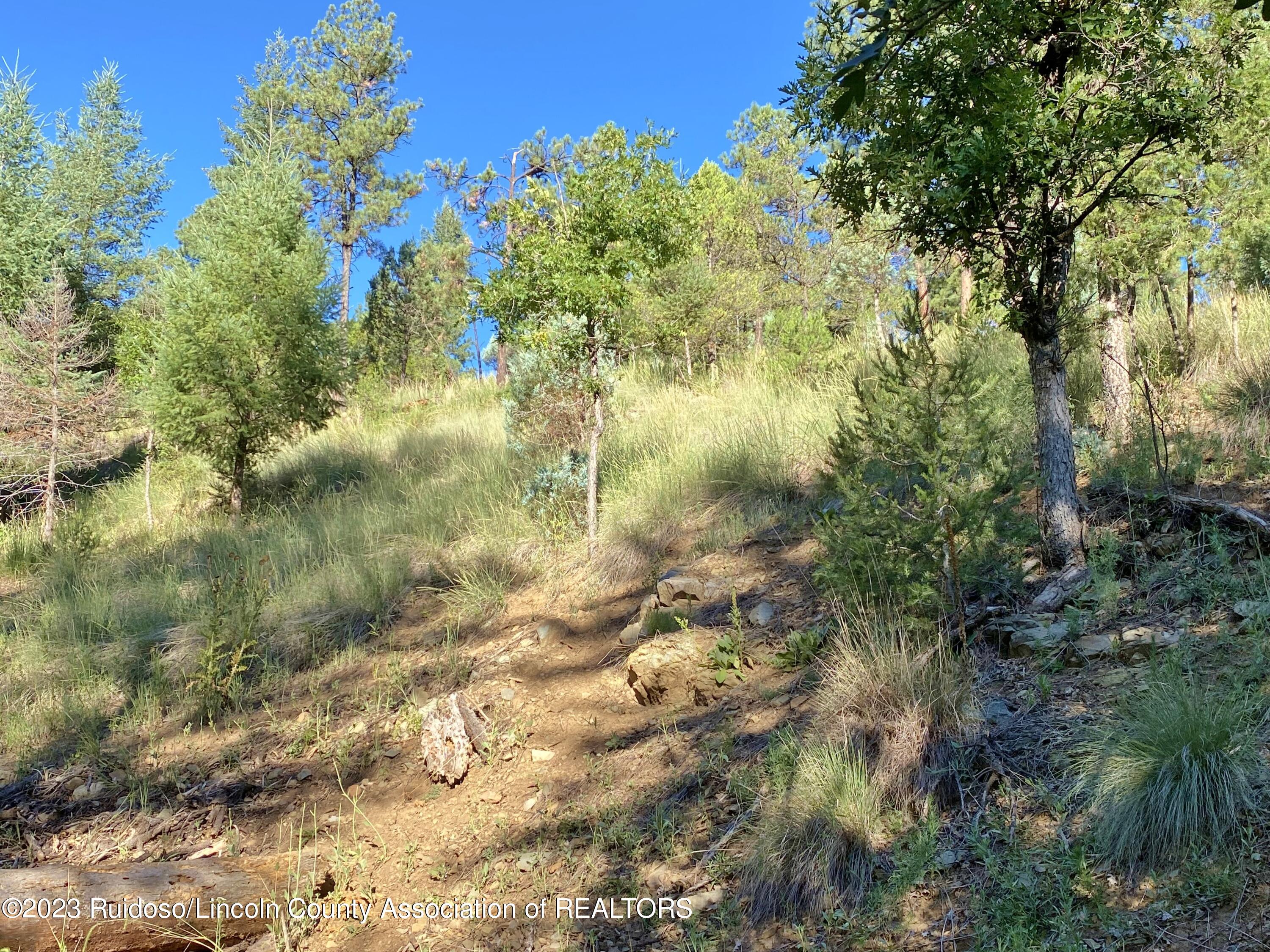 108-110 Beech Road, Ruidoso, New Mexico image 21