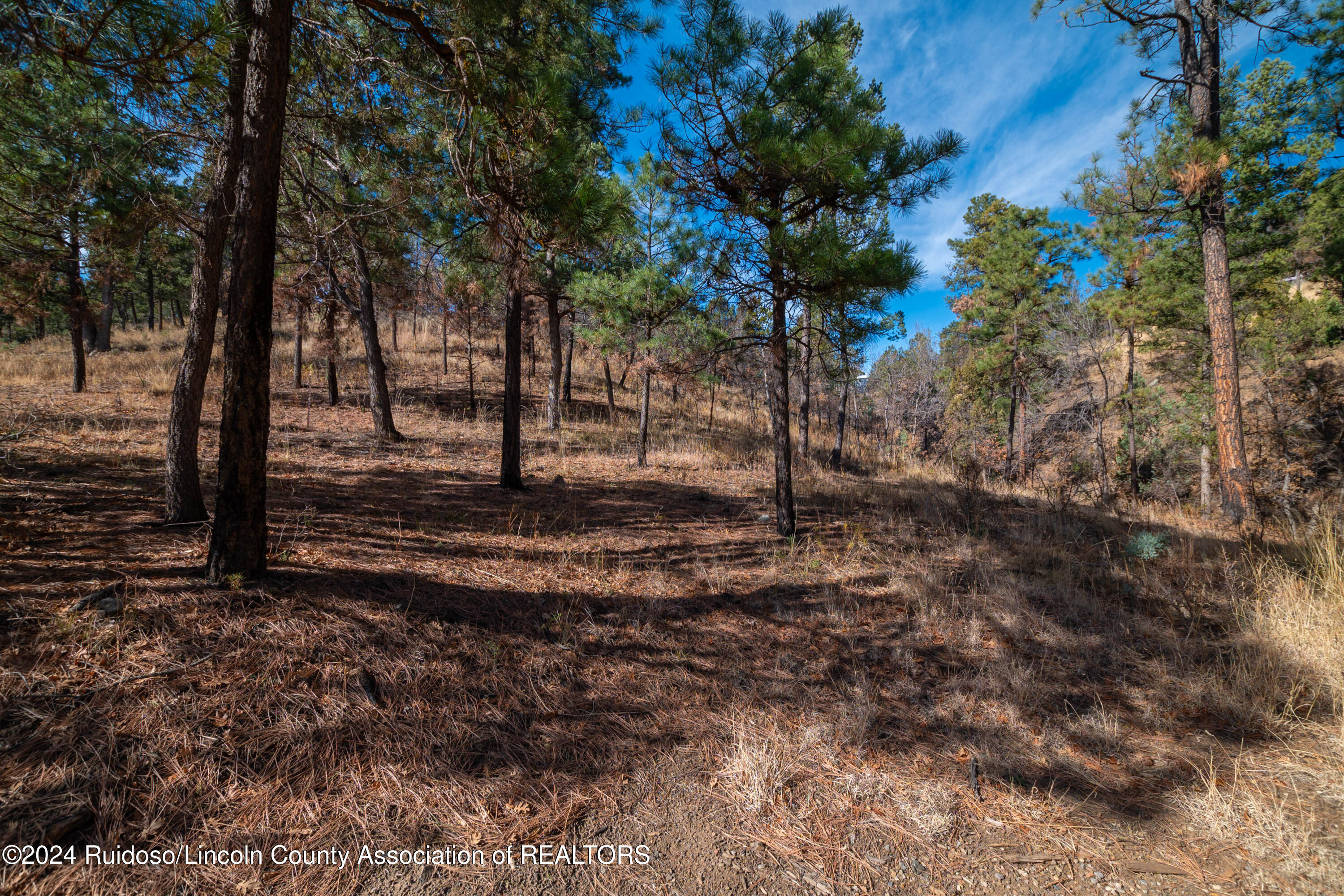 105 Modoc Place, Ruidoso, New Mexico image 2