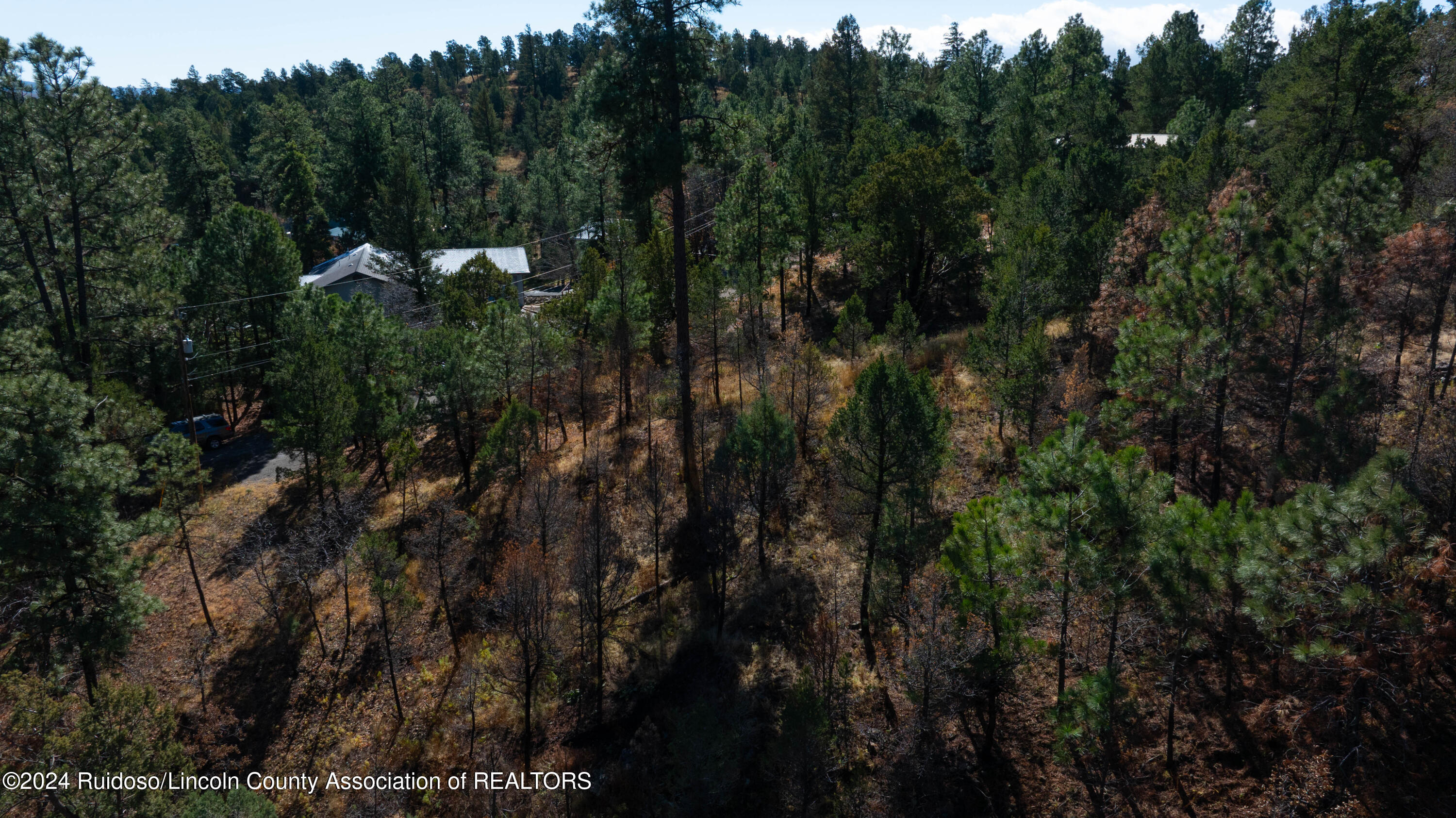 105 Modoc Place, Ruidoso, New Mexico image 9