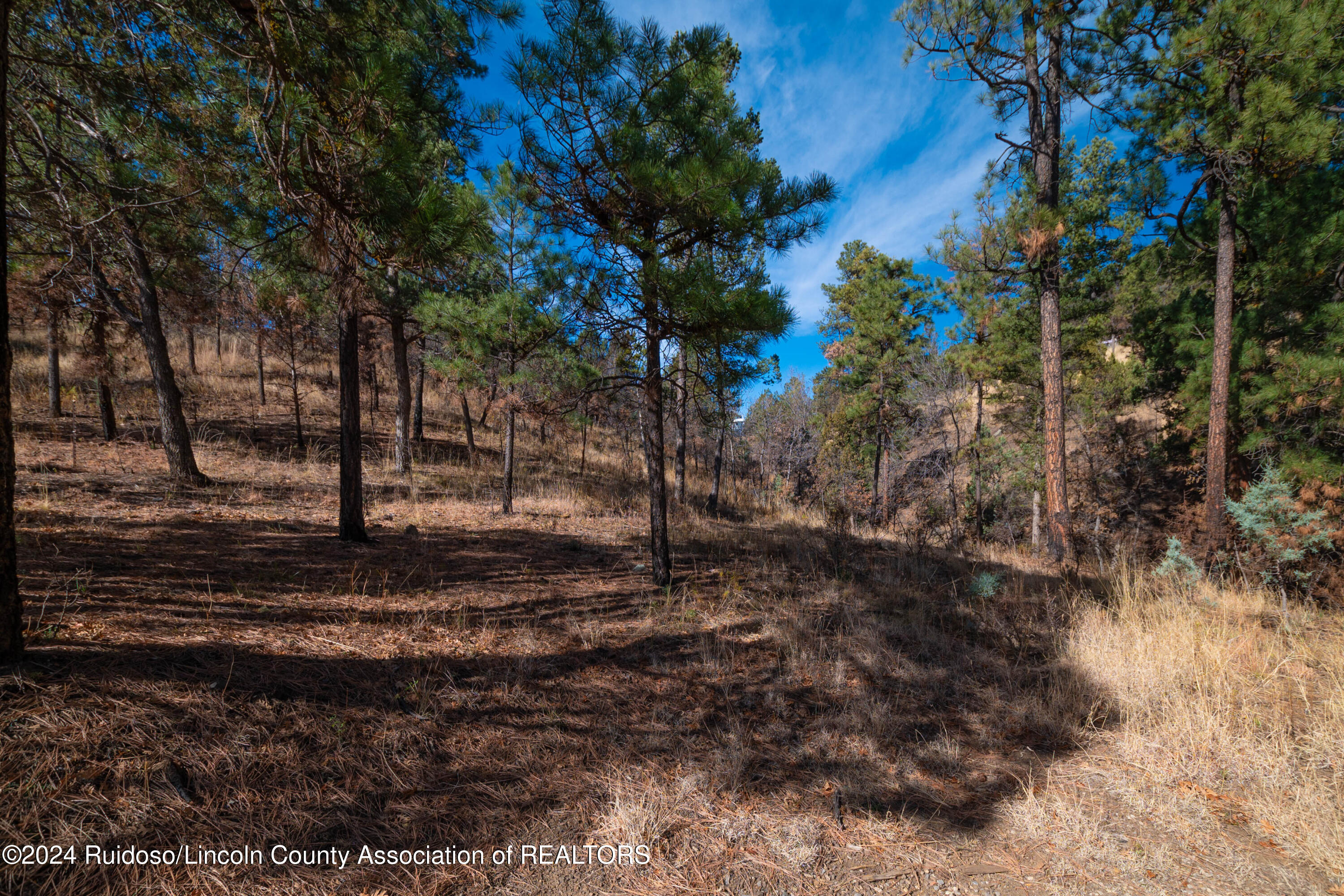 105 Modoc Place, Ruidoso, New Mexico image 1