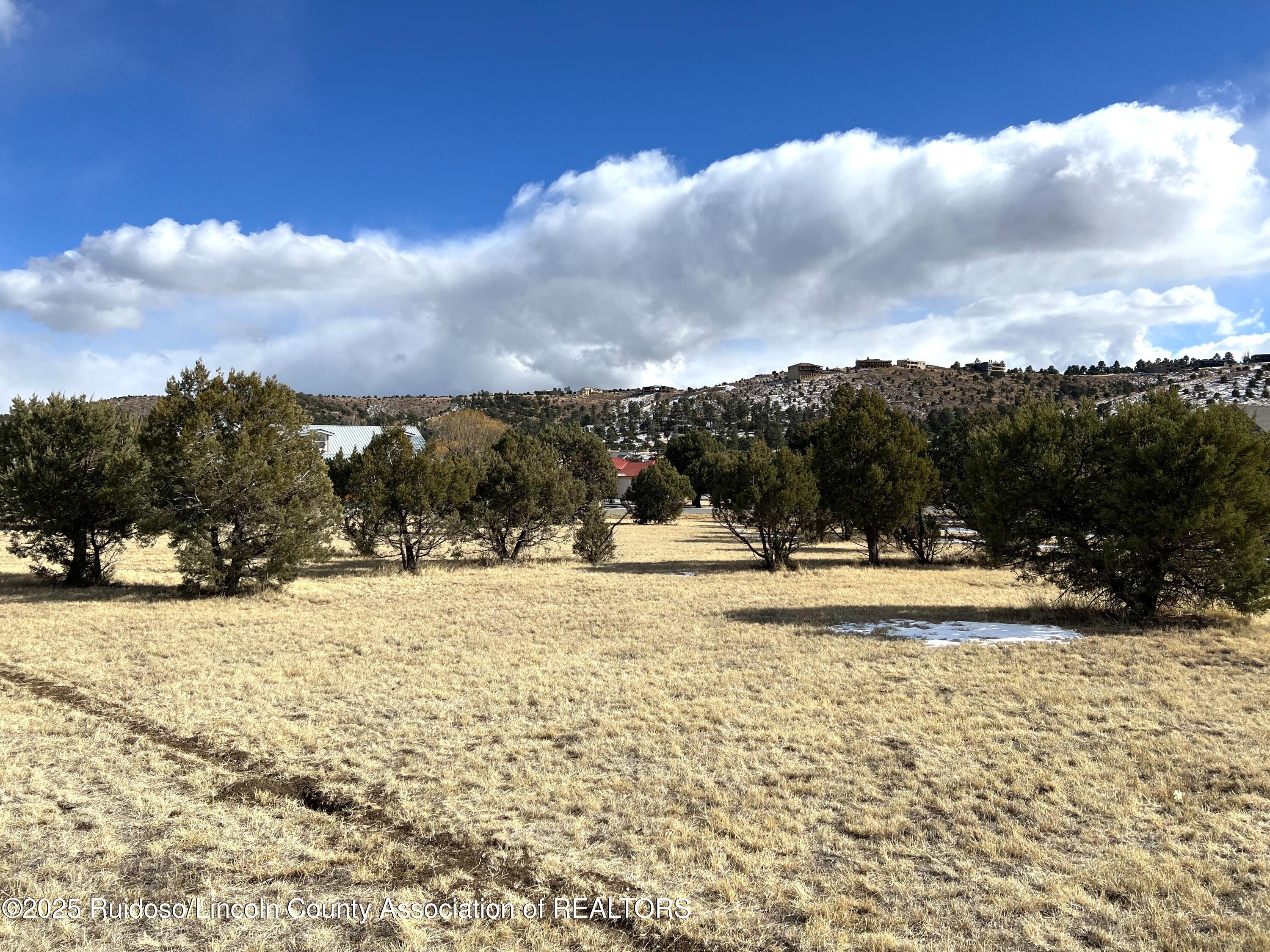 Lot 213 Lasso Court, Alto, New Mexico image 1