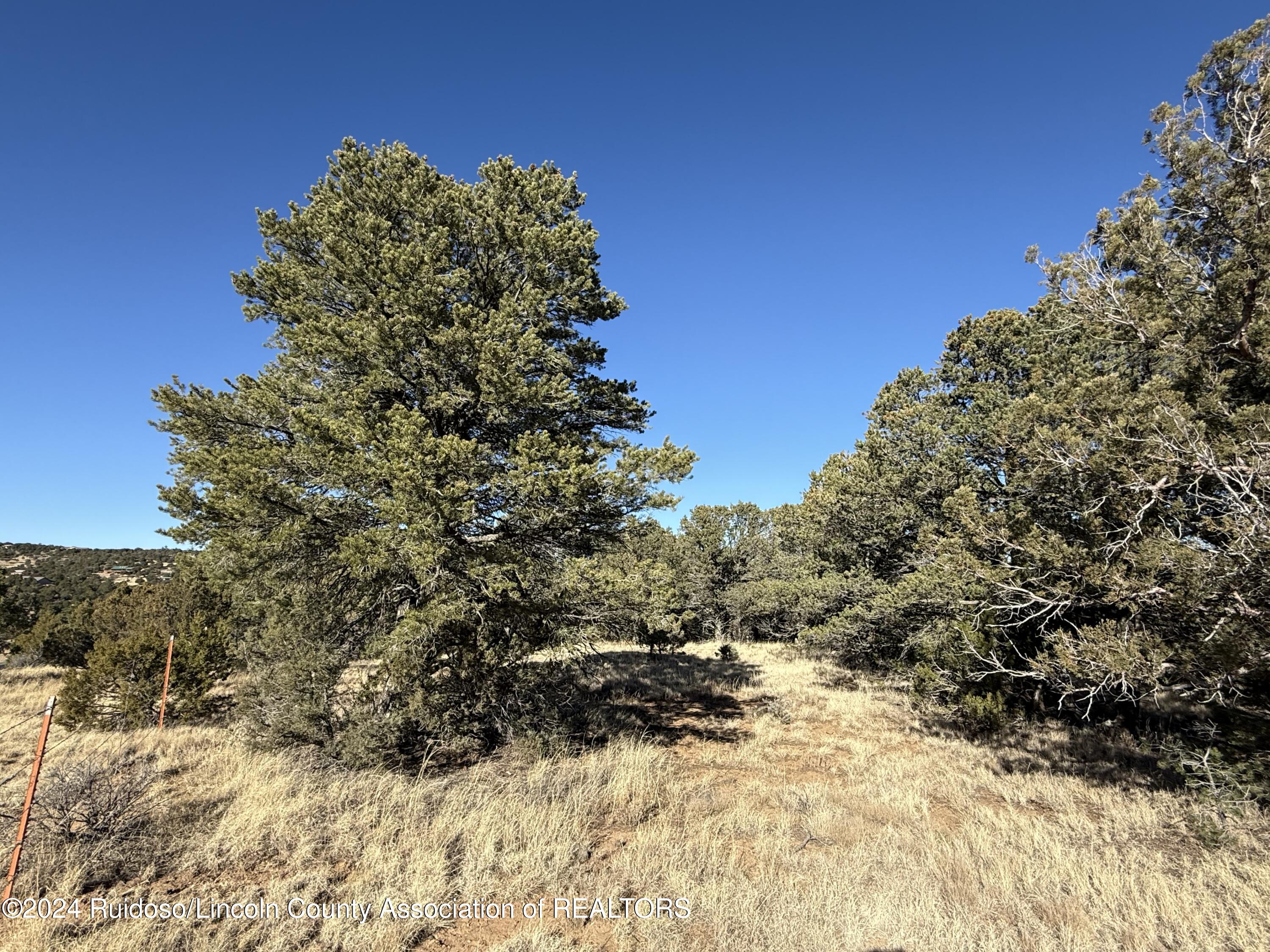 534 Nm-37, Nogal, New Mexico image 12