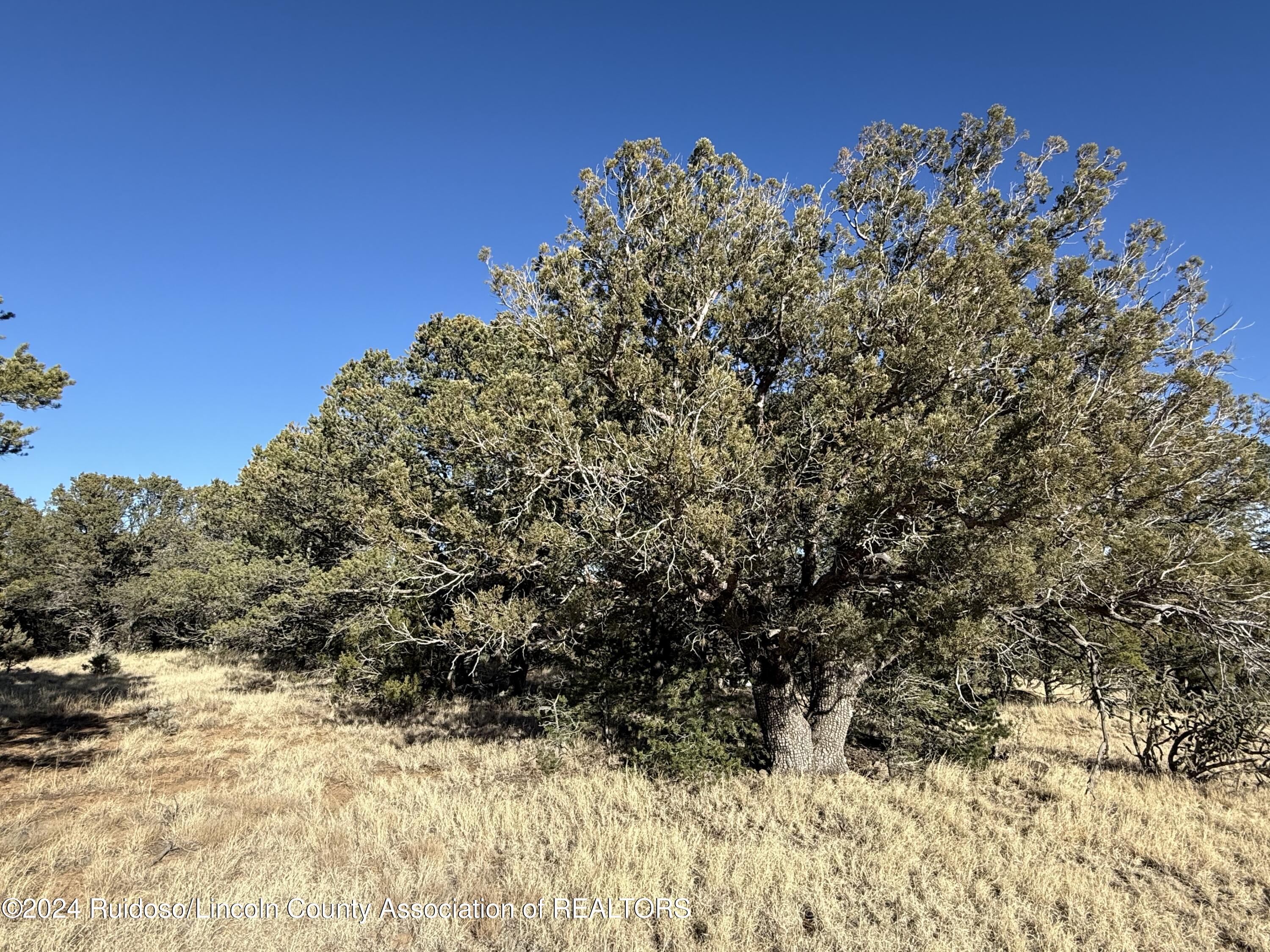 534 Nm-37, Nogal, New Mexico image 13