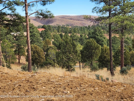 143 CHARLES MCCLELLAN DR, RUIDOSO, NM 88345 - Image ee37a12d9be0ac6ccfc321a3381a232a/1225299082