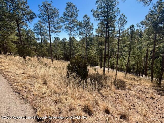 Lot 6 Camino Drive, Alto, New Mexico image 3