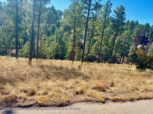 Lot 6 Camino Drive, Alto, New Mexico image 4