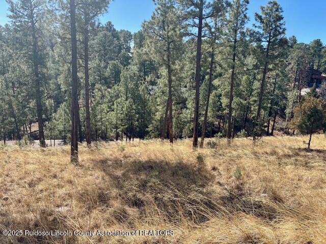 Lot 6 Camino Drive, Alto, New Mexico image 1