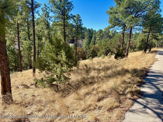 Lot 6 Camino Drive, Alto, New Mexico image 2