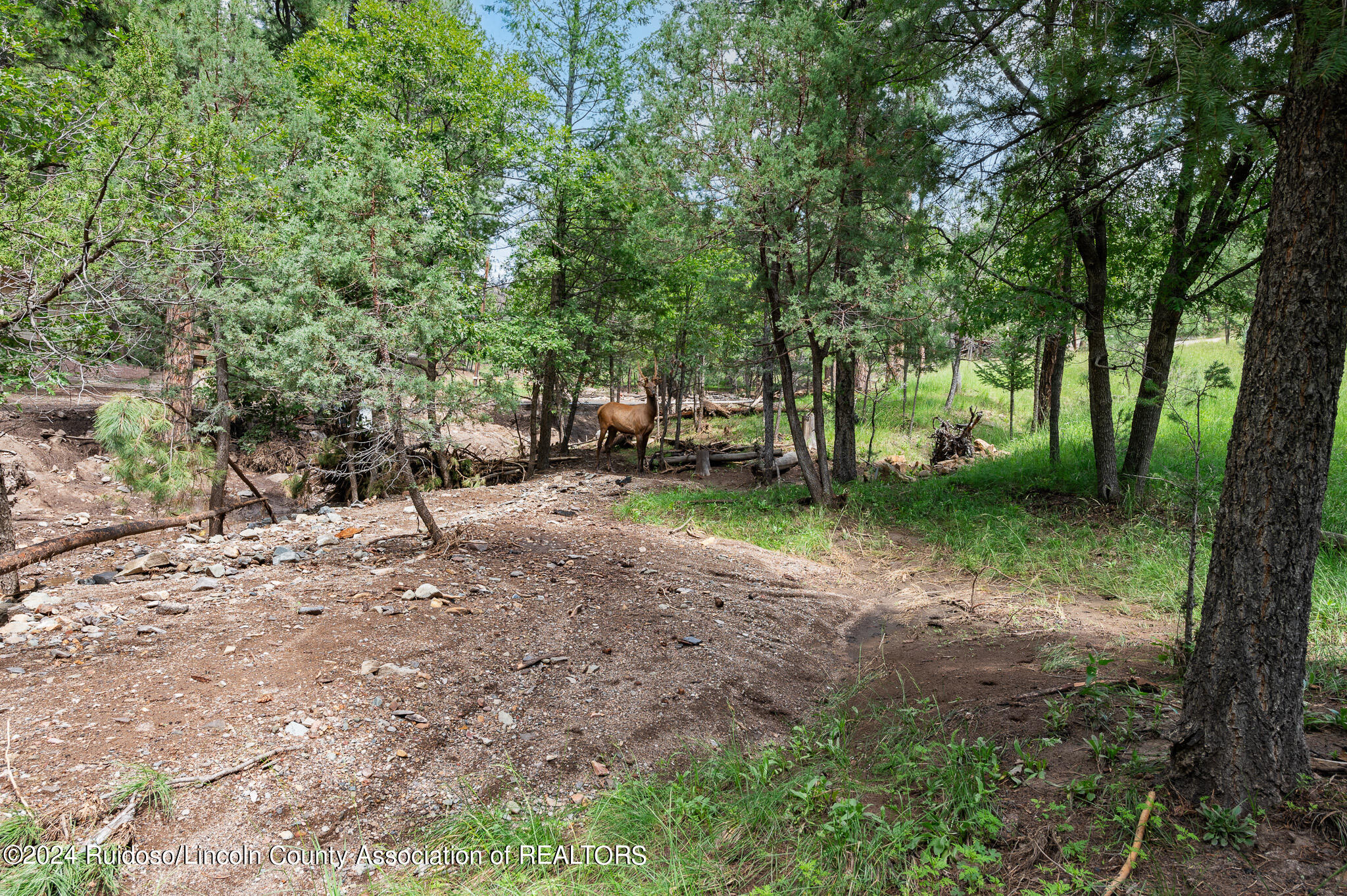 104 Perk Canyon Drive, Ruidoso, New Mexico image 44